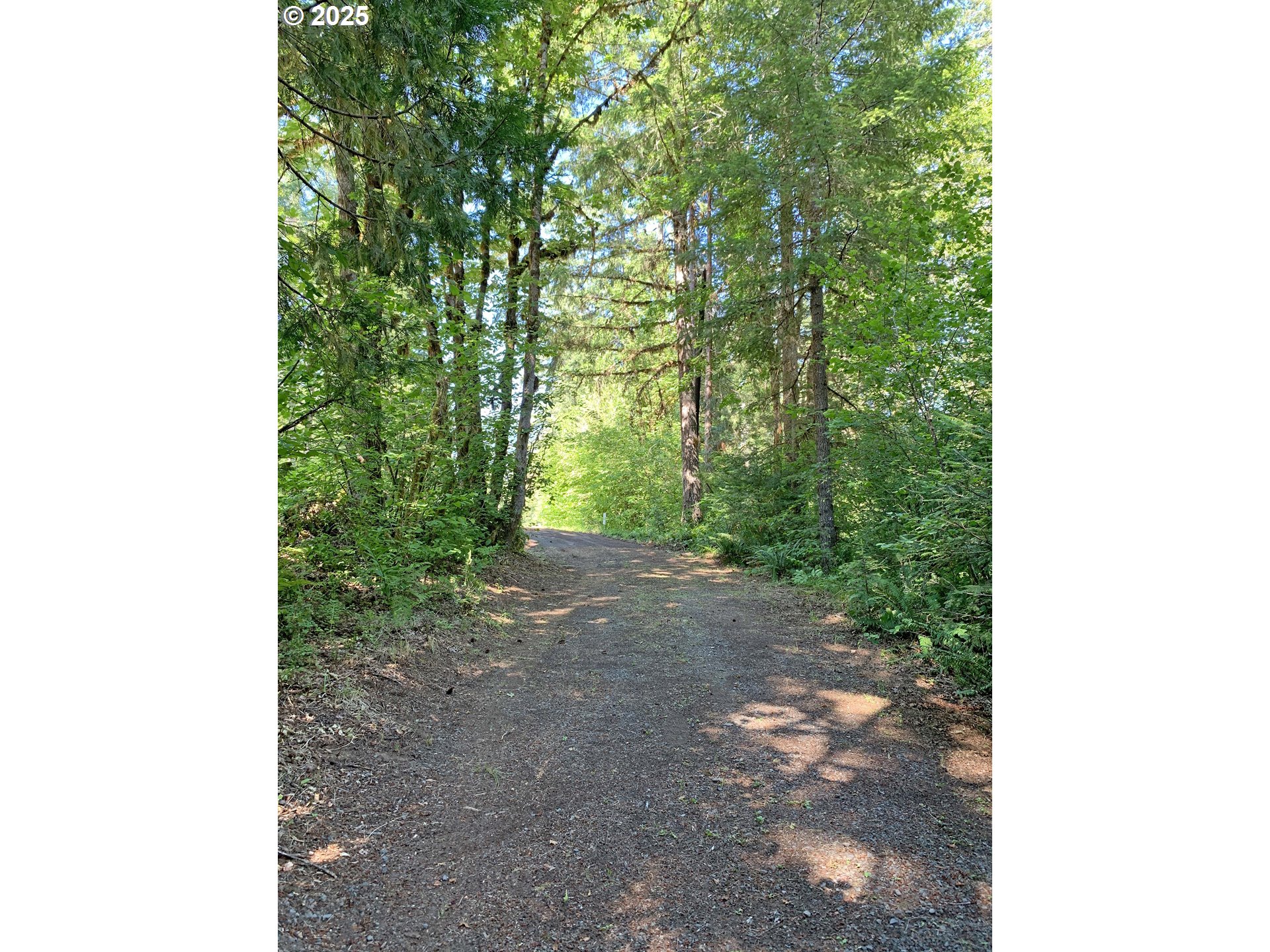 Mckenzie River Dr 1800 Property Photo 4