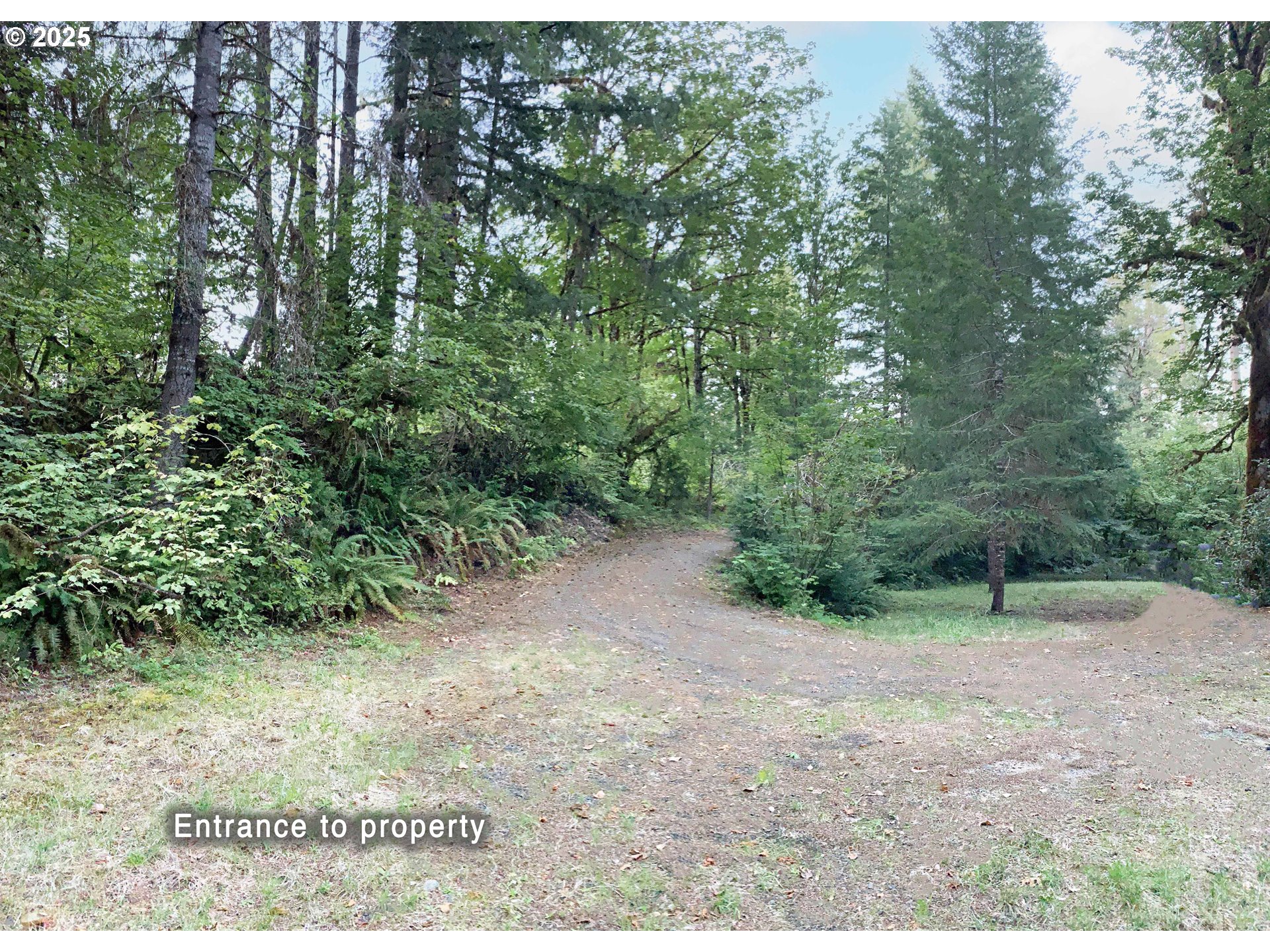 Mckenzie River Dr 1800 Property Photo 5
