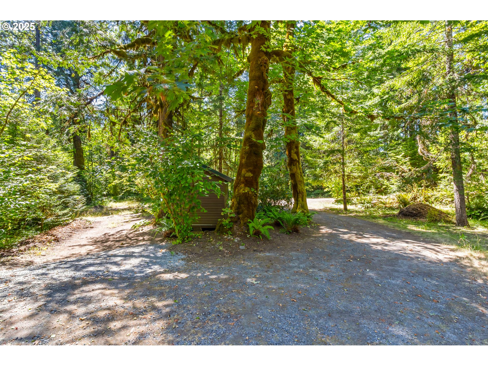 Mckenzie River Dr 1800 Property Photo 11