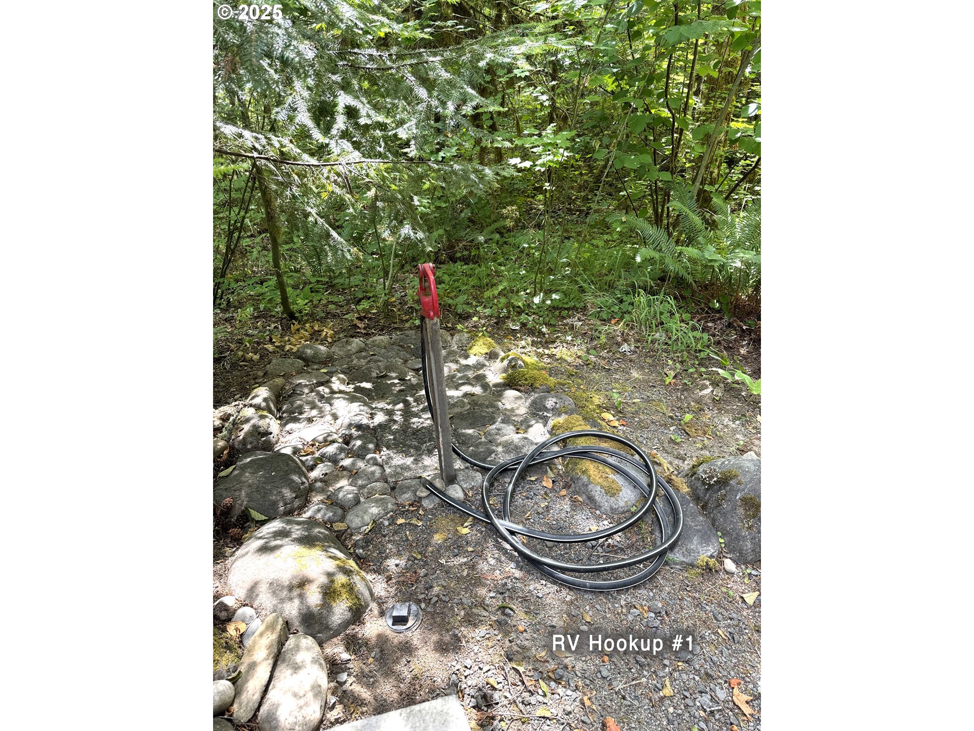 Mckenzie River Dr 1800 Property Photo 13