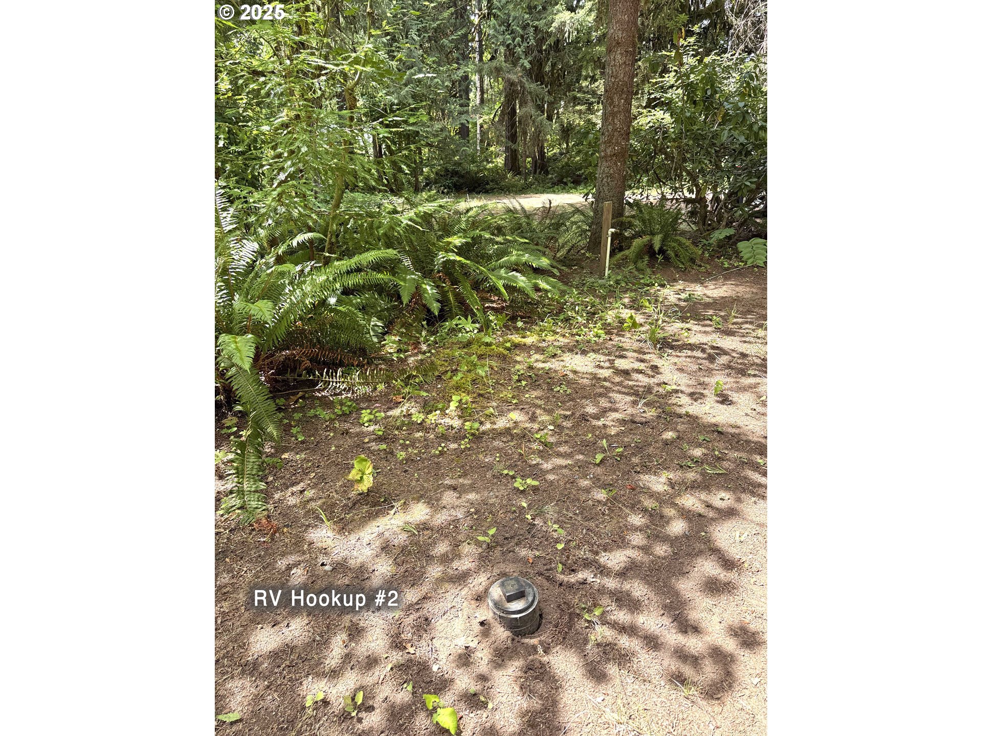 Mckenzie River Dr 1800 Property Photo 14