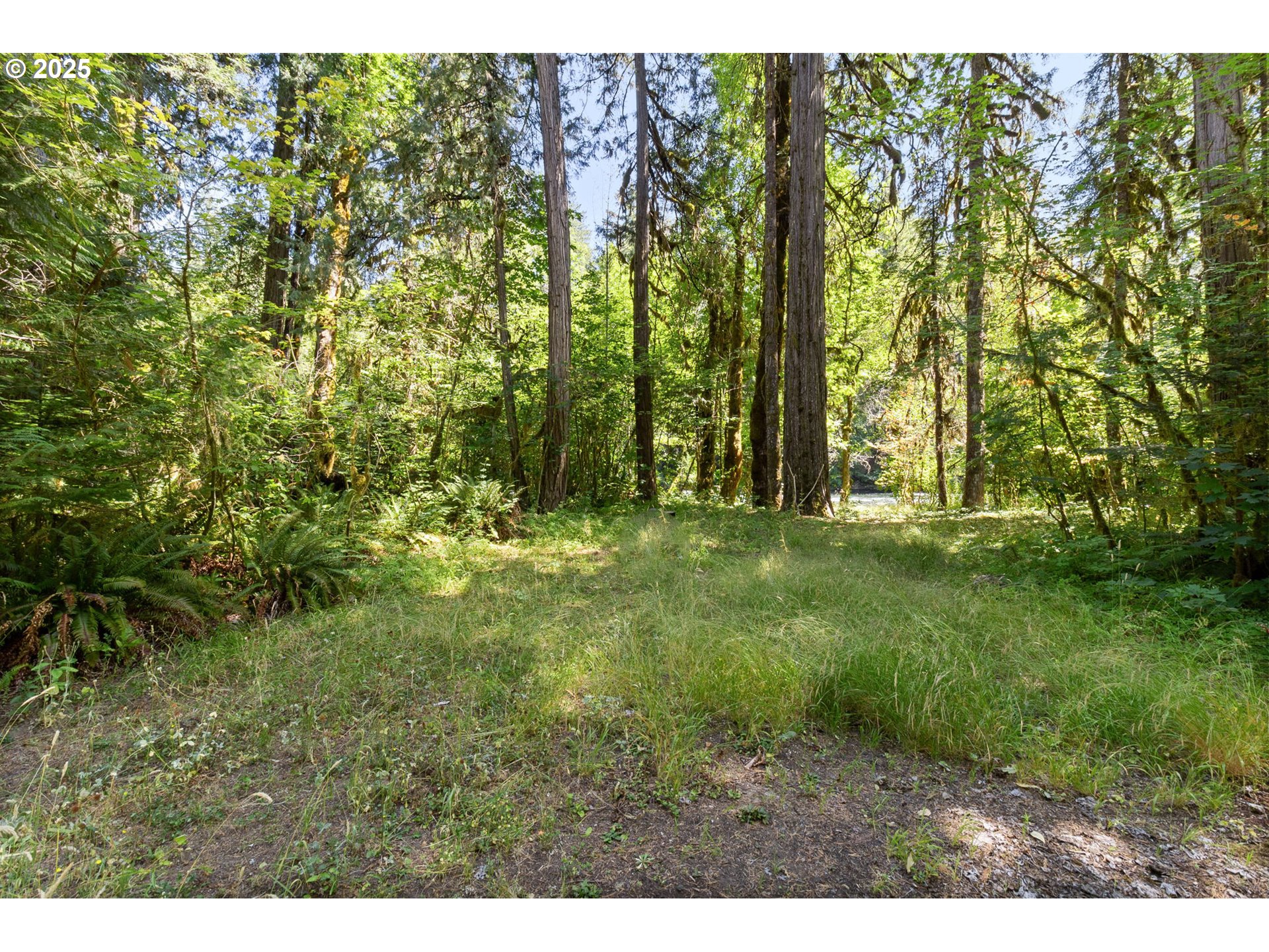 Mckenzie River Dr 1800 Property Photo 15