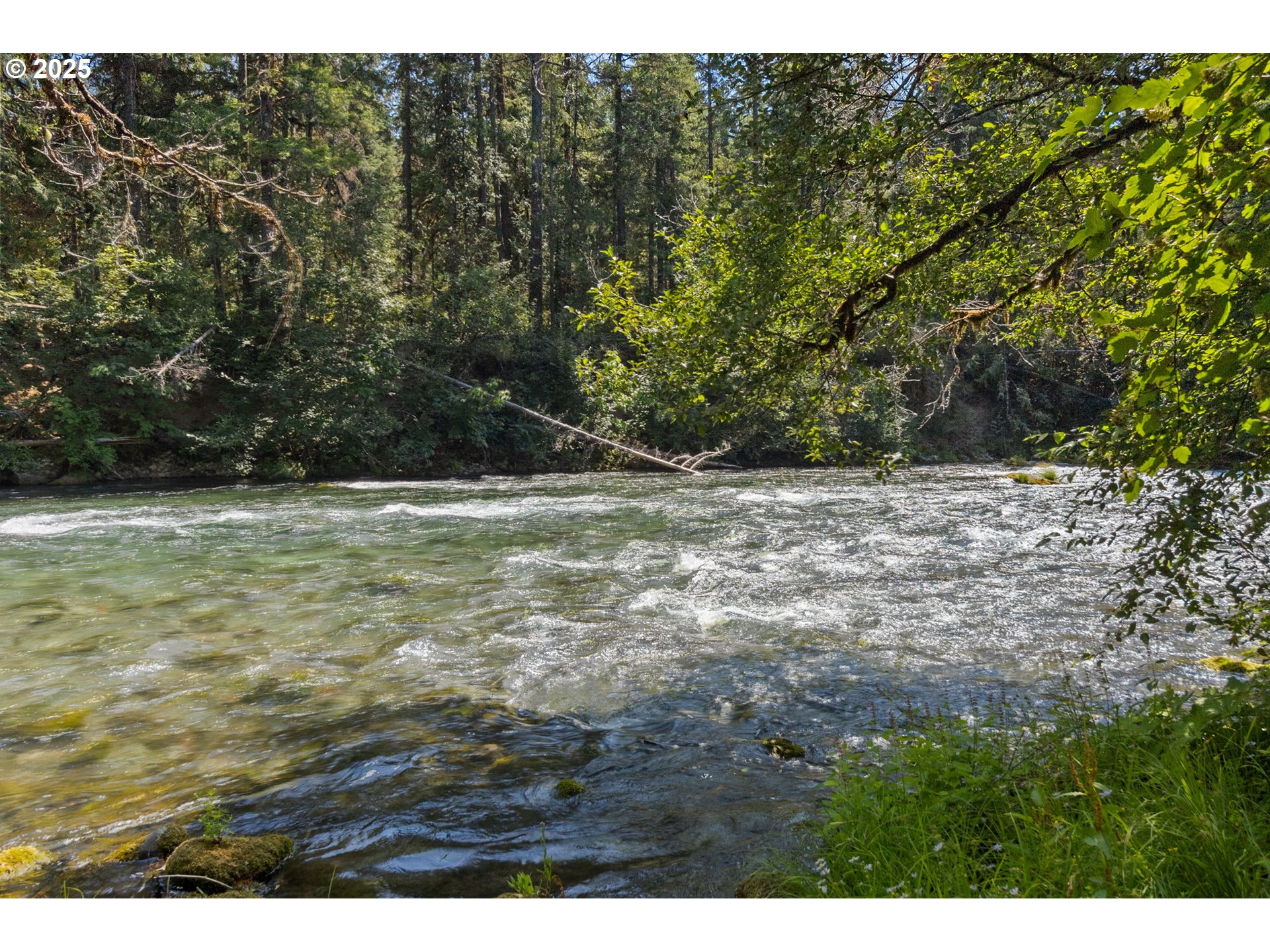 Mckenzie River Dr 1800 Property Photo 16