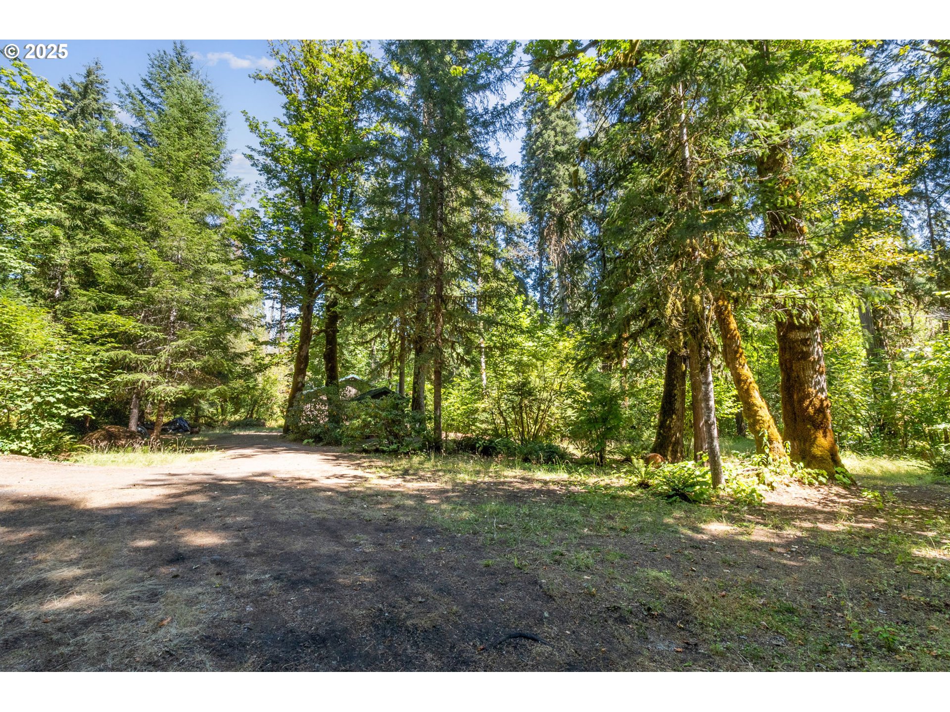Mckenzie River Dr 1800 Property Photo 18