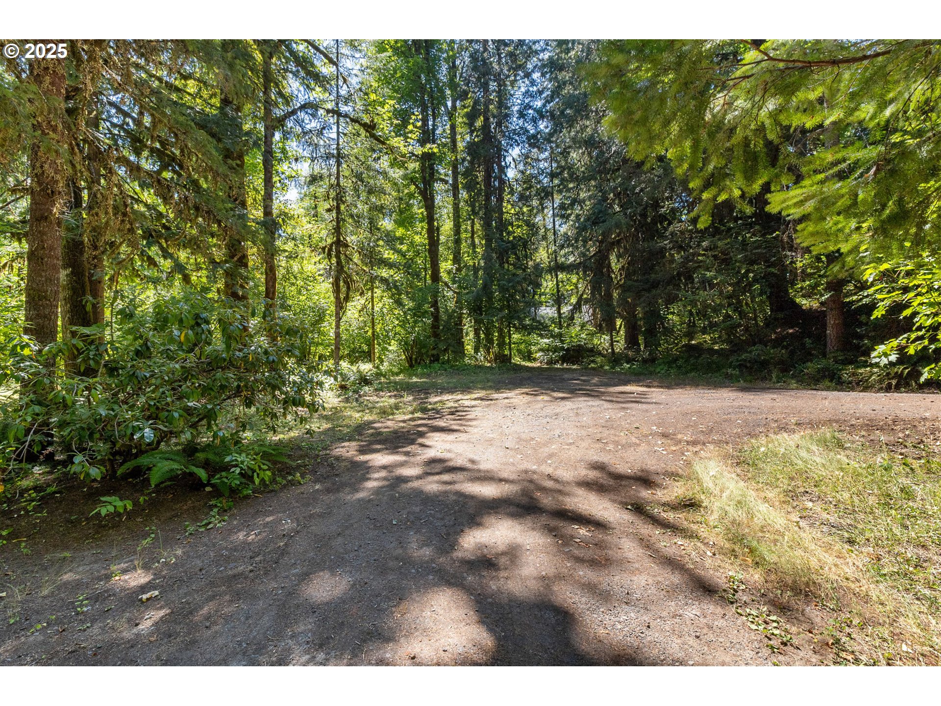 Mckenzie River Dr 1800 Property Photo 19