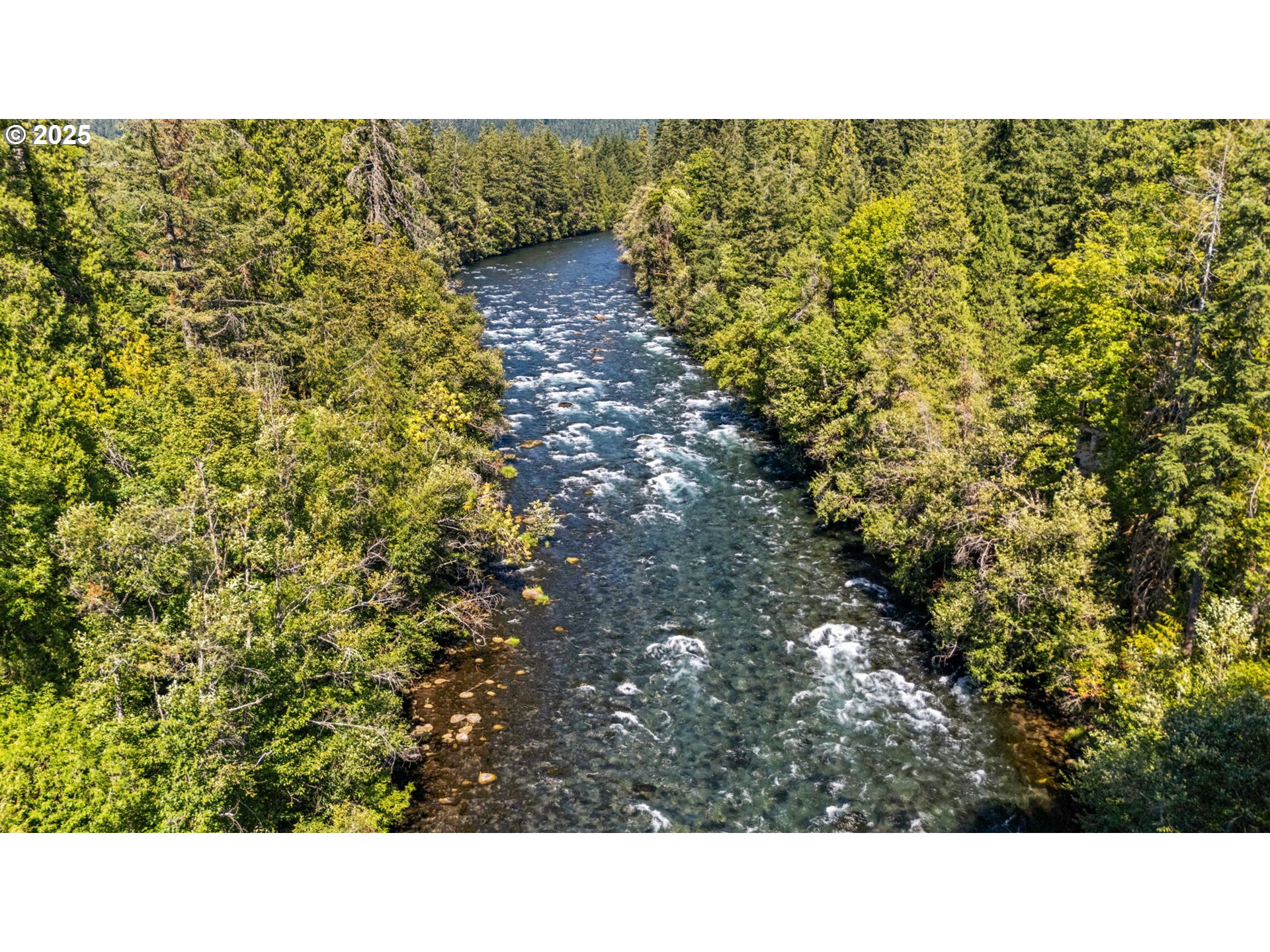 Mckenzie River Dr 1800 Property Photo 20