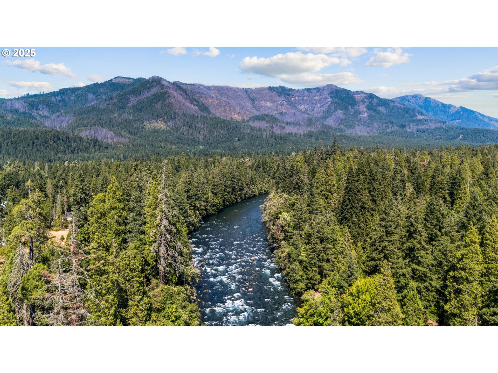 Mckenzie River Dr 1800 Property Photo 21