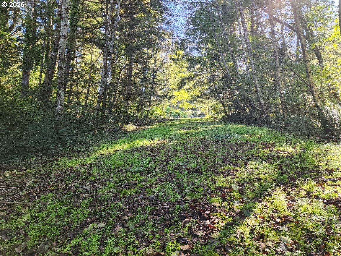 Eighty Acres Rd Property Photo 2