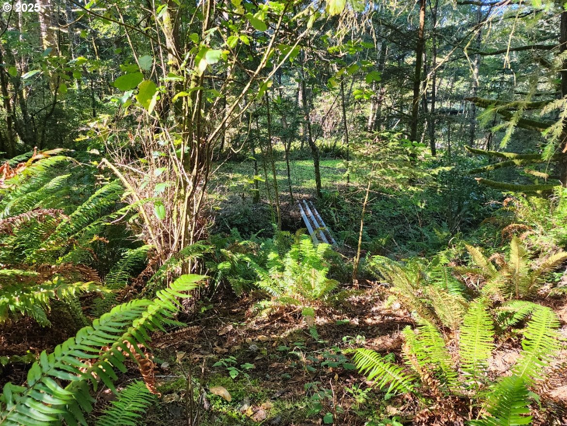 Eighty Acres Rd Property Photo 3