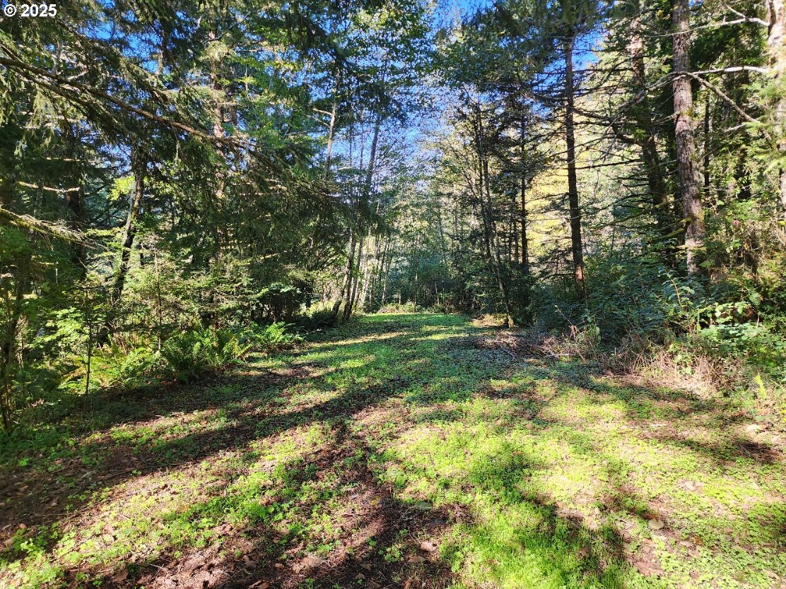 Eighty Acres Rd Property Photo 4