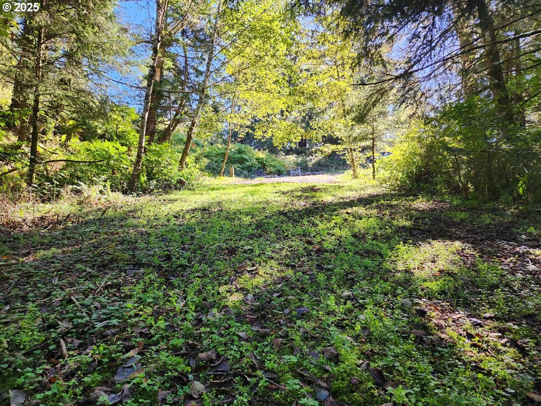 Eighty Acres Rd Property Photo 6