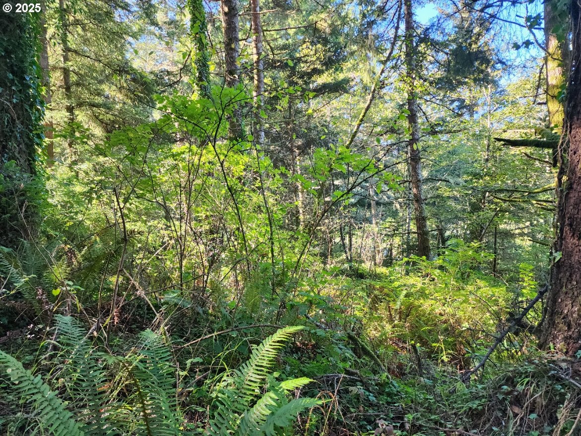 Eighty Acres Rd Property Photo 11
