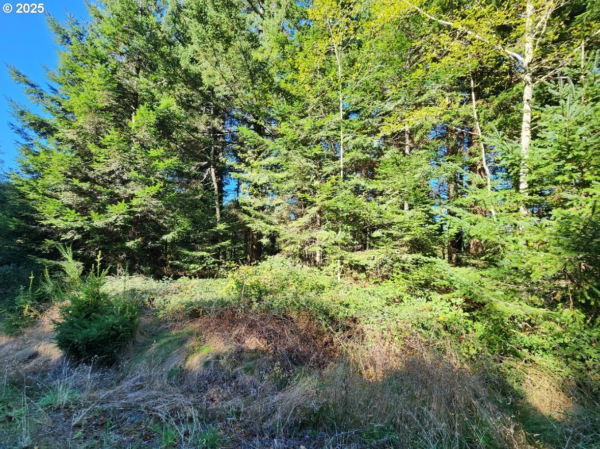 Eighty Acres Rd Property Photo 14