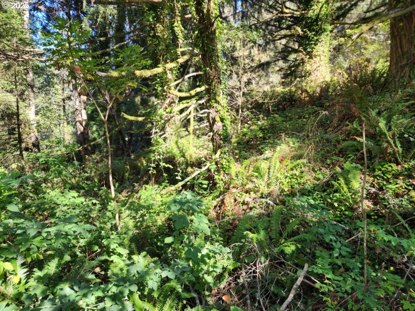Eighty Acres Rd Property Photo 17
