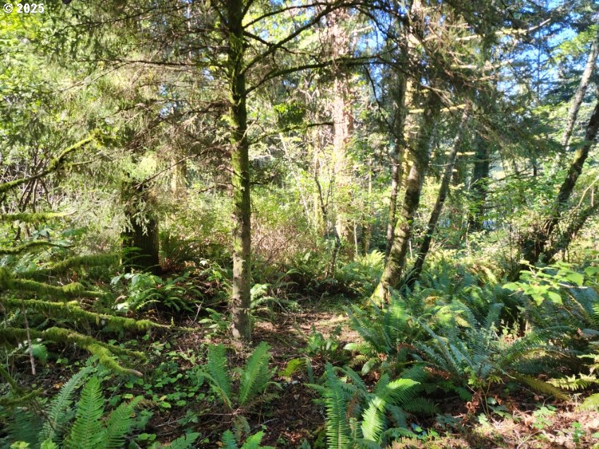Eighty Acres Rd Property Photo 18