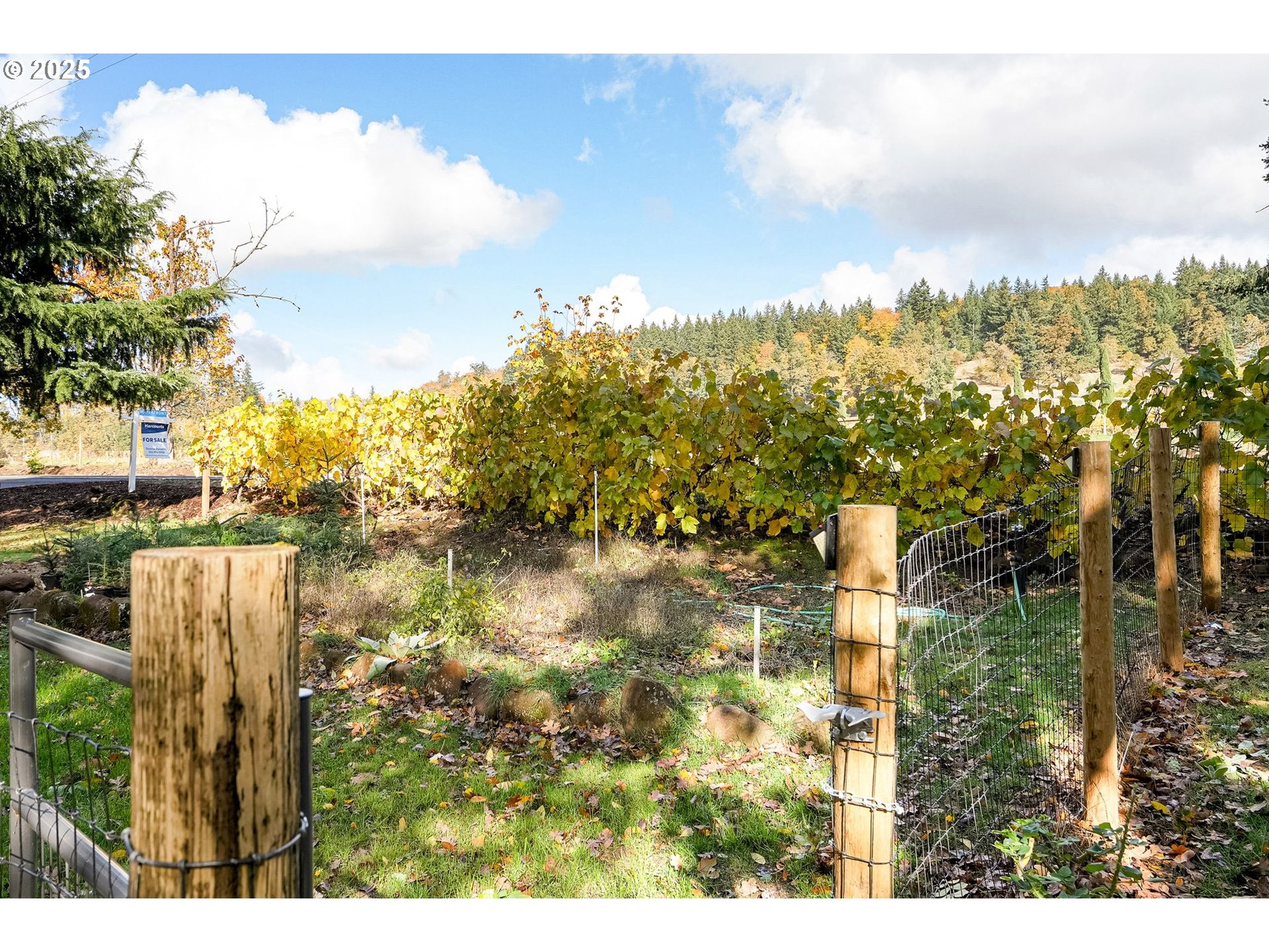 17576 Abiqua Rd Property Photo 28