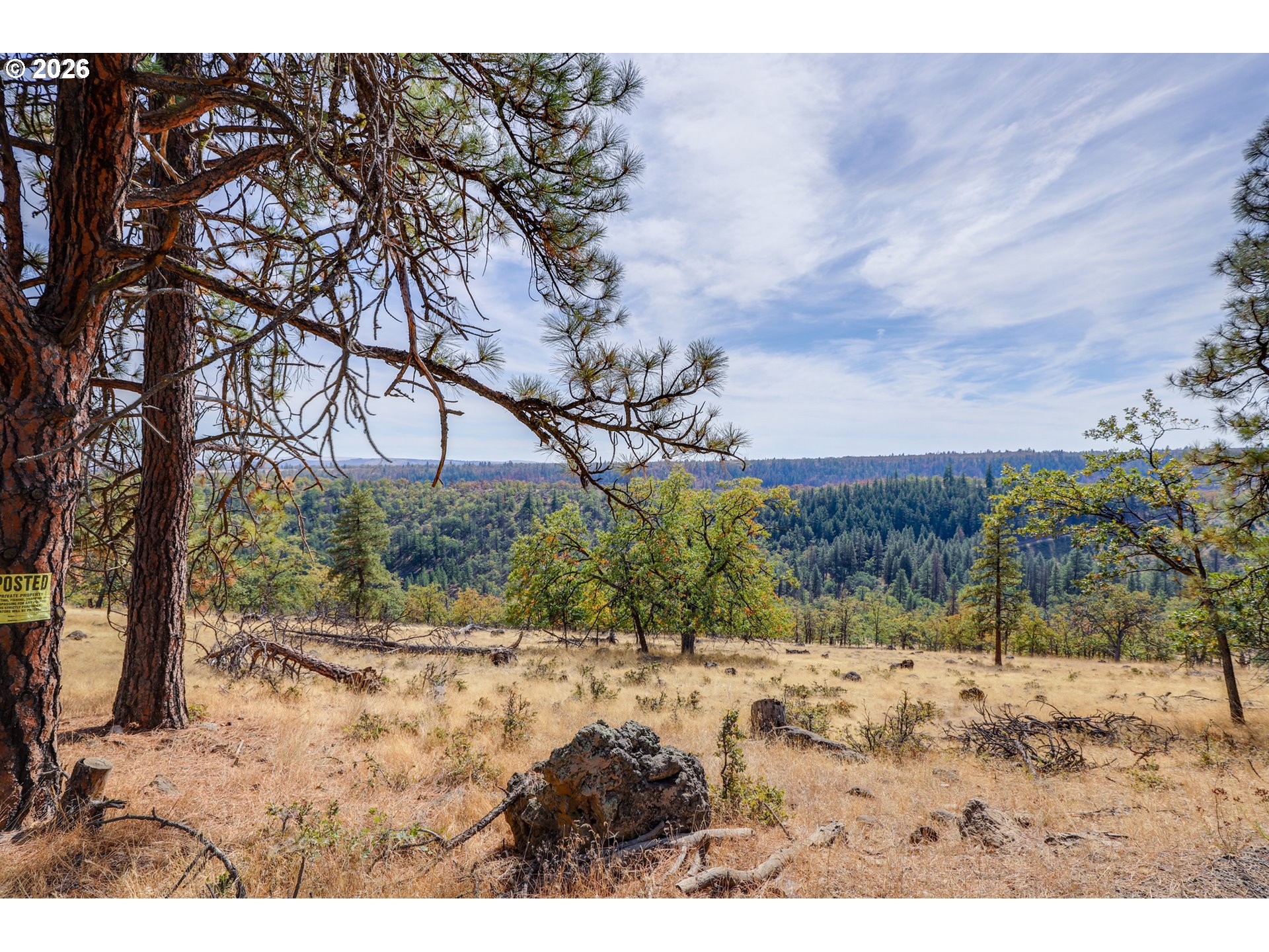 00 Ridgetop Rd. Property Photo 12