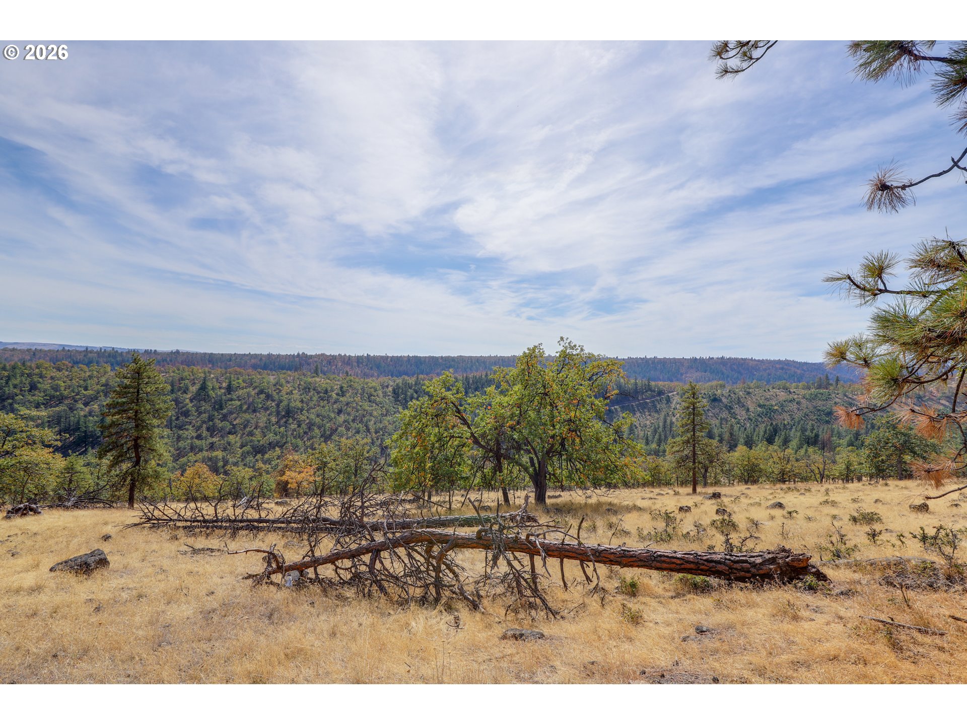 00 Ridgetop Rd. Property Photo 13