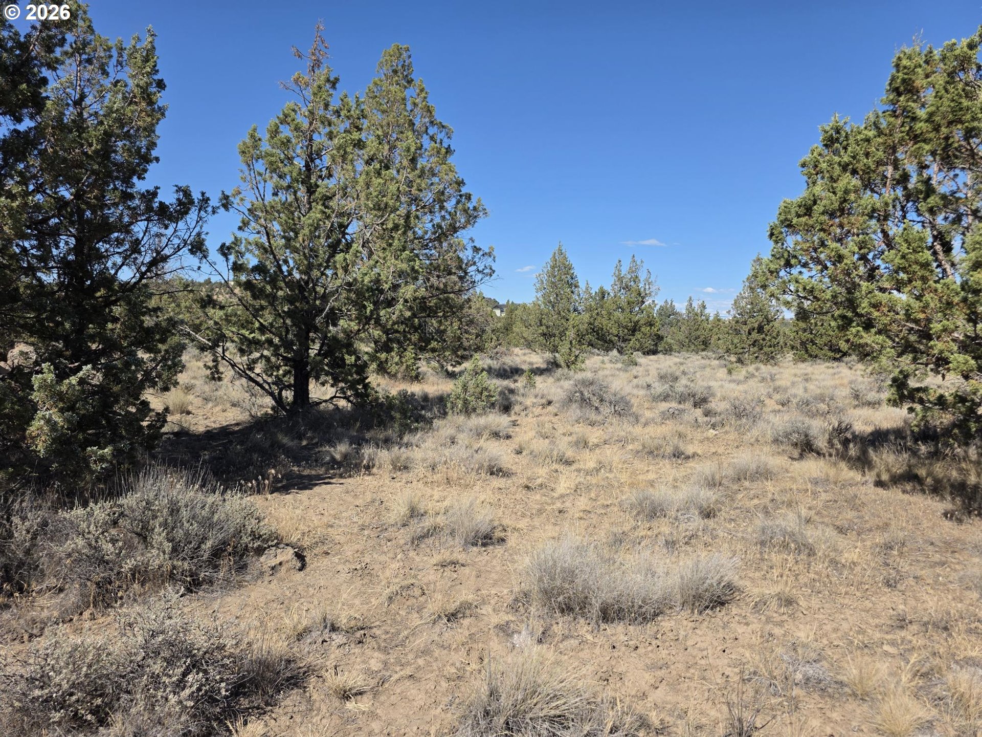 0 SE CAYUSE RD TL900 Property Photo 1