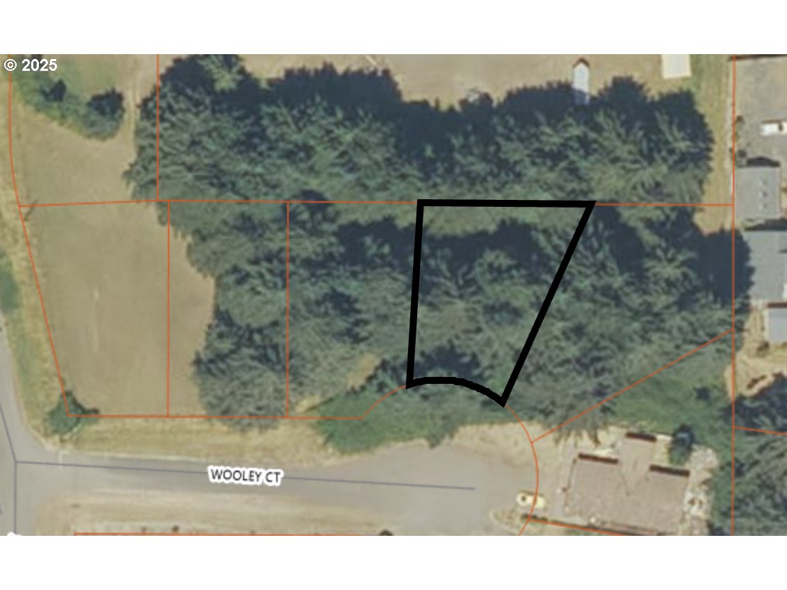 1039 Wooley Ct Property Photo 1