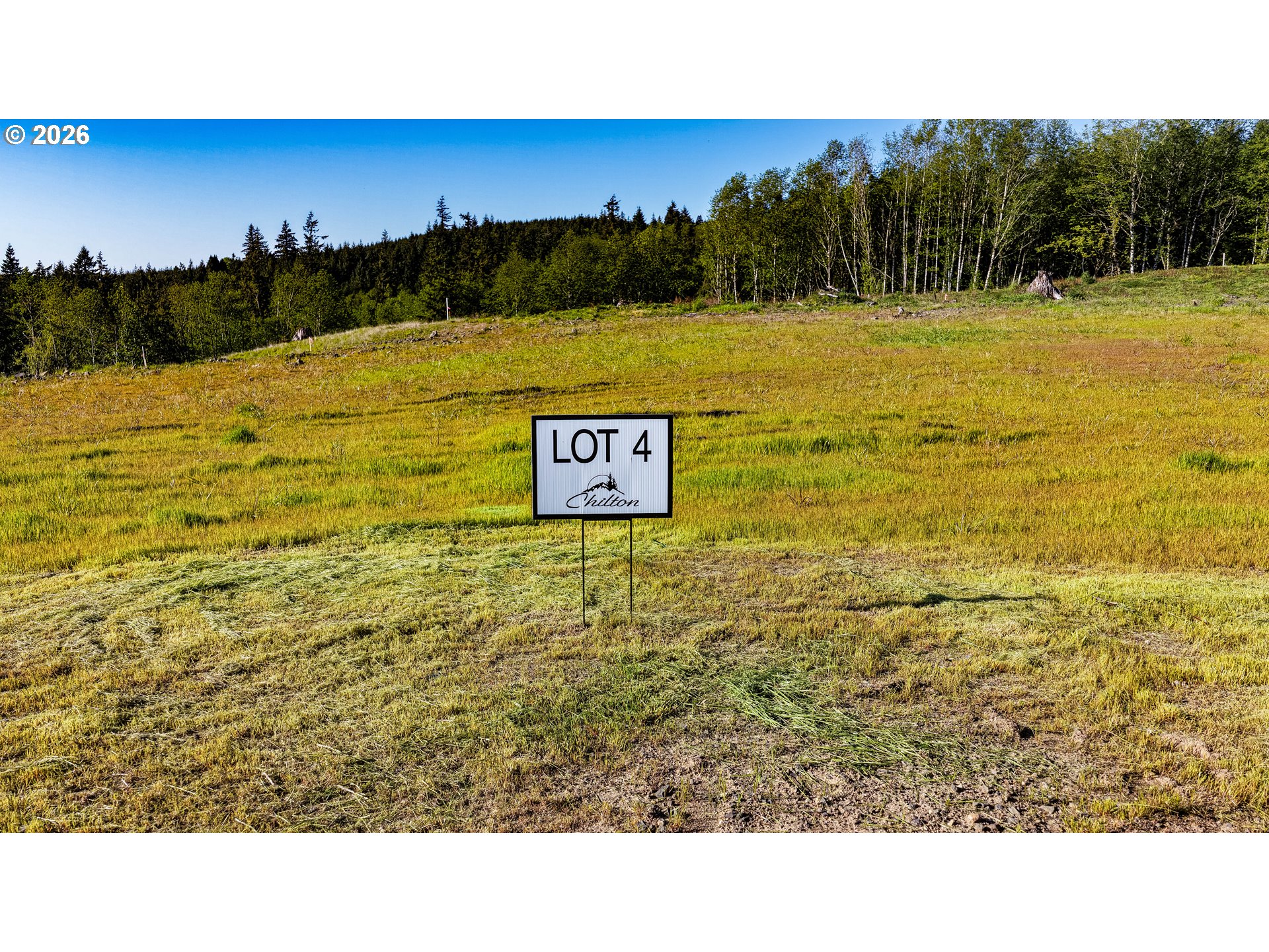 0 Carmen Sylvia DR Lot 4 Property Photo 1