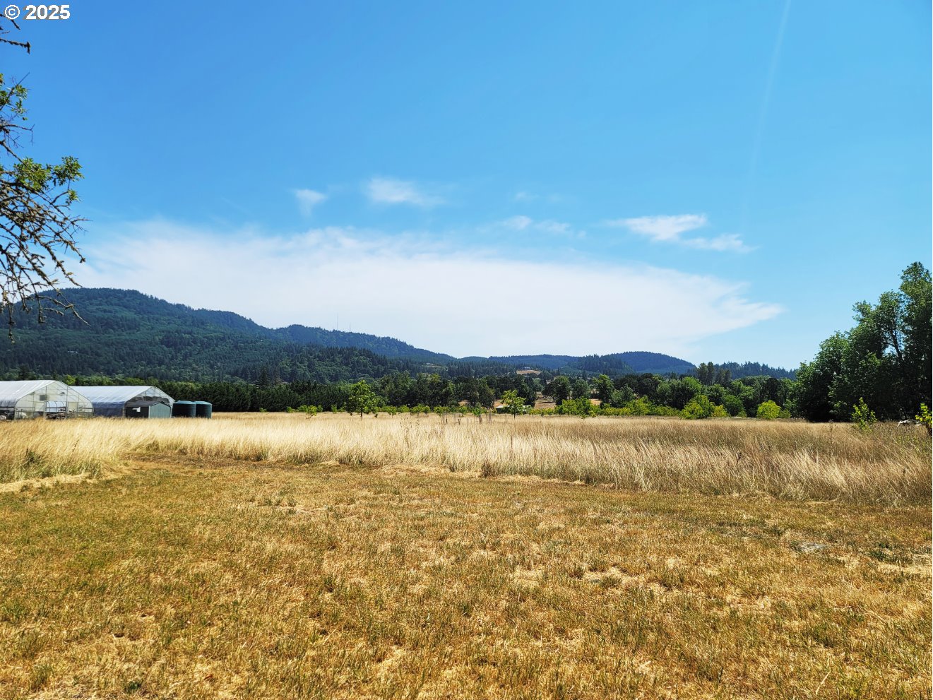 91298 Oak Crest Rd Property Photo 6