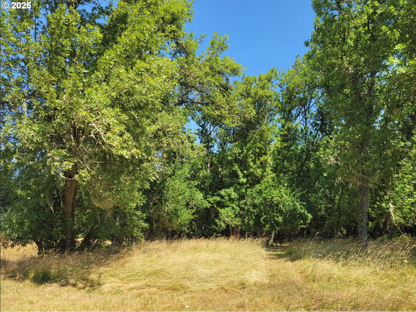 91298 Oak Crest Rd Property Photo 10