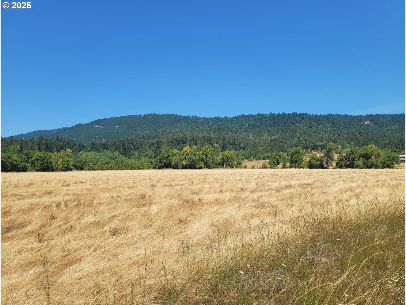 91298 Oak Crest Rd Property Photo 14