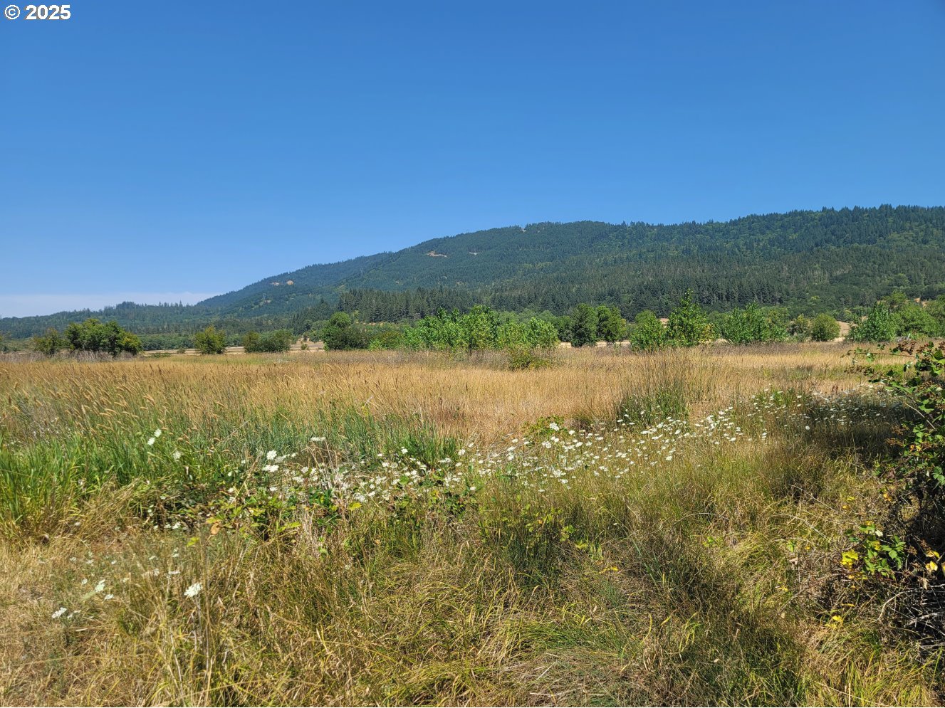 91298 Oak Crest Rd Property Photo 15