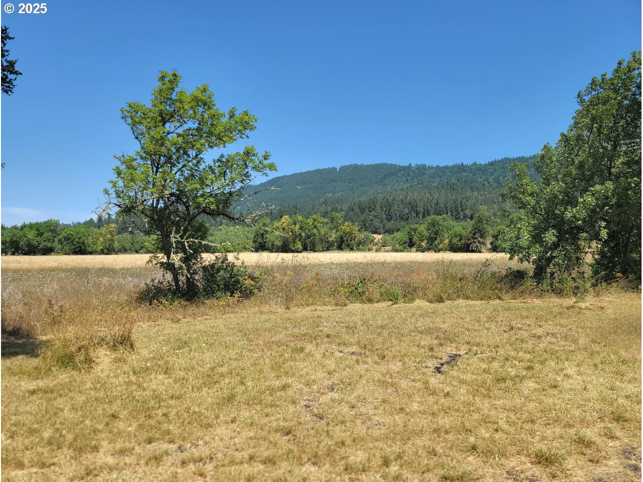 91298 Oak Crest Rd Property Photo 20