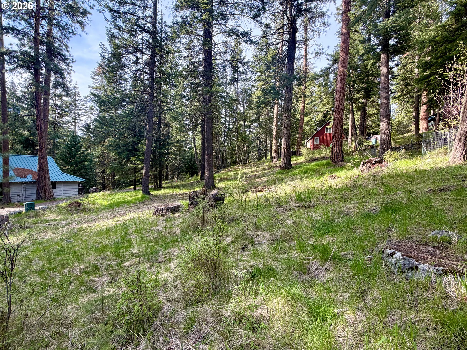Forest Dell Ave Property Photo 1
