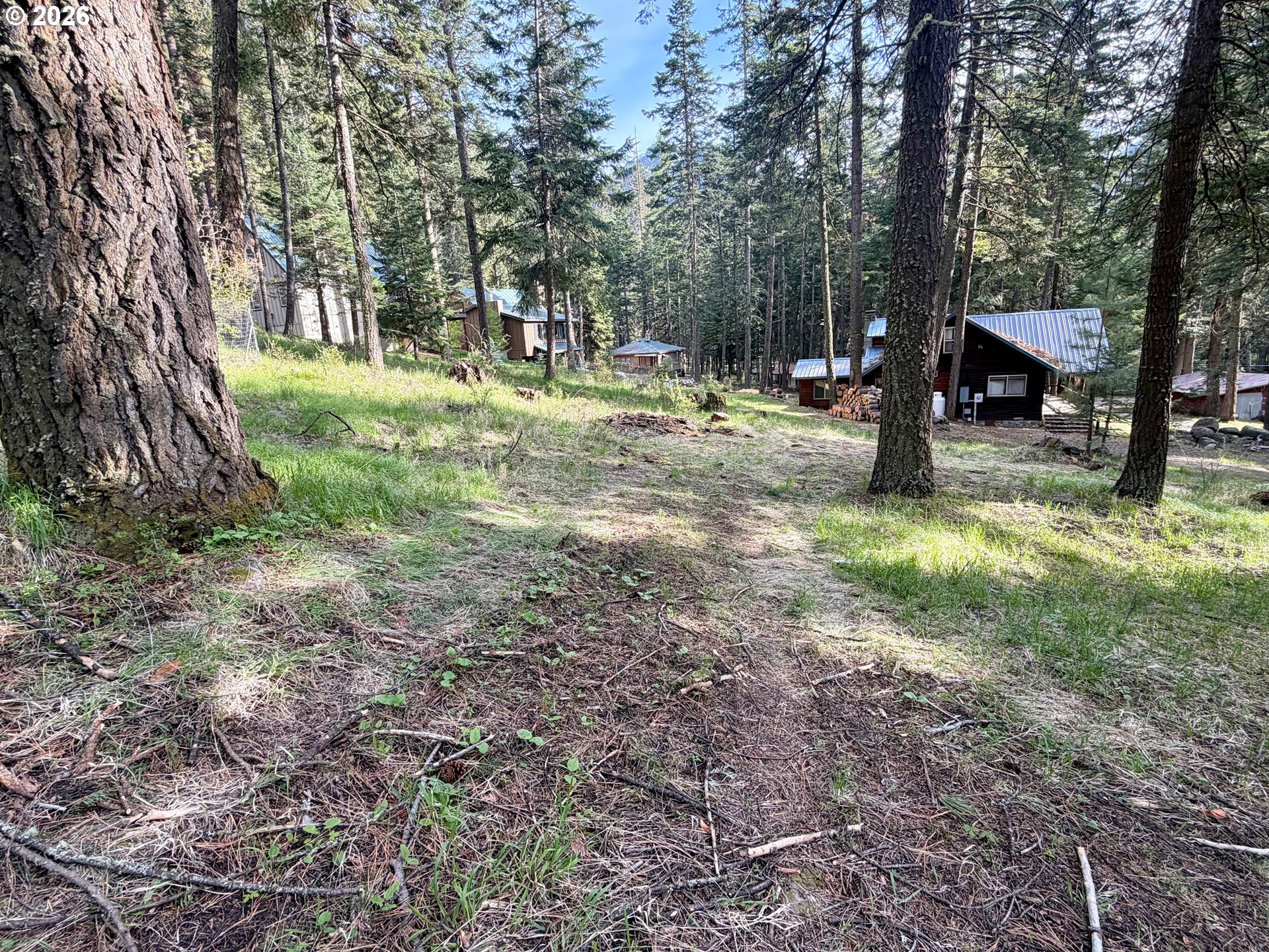Forest Dell Ave Property Photo 4