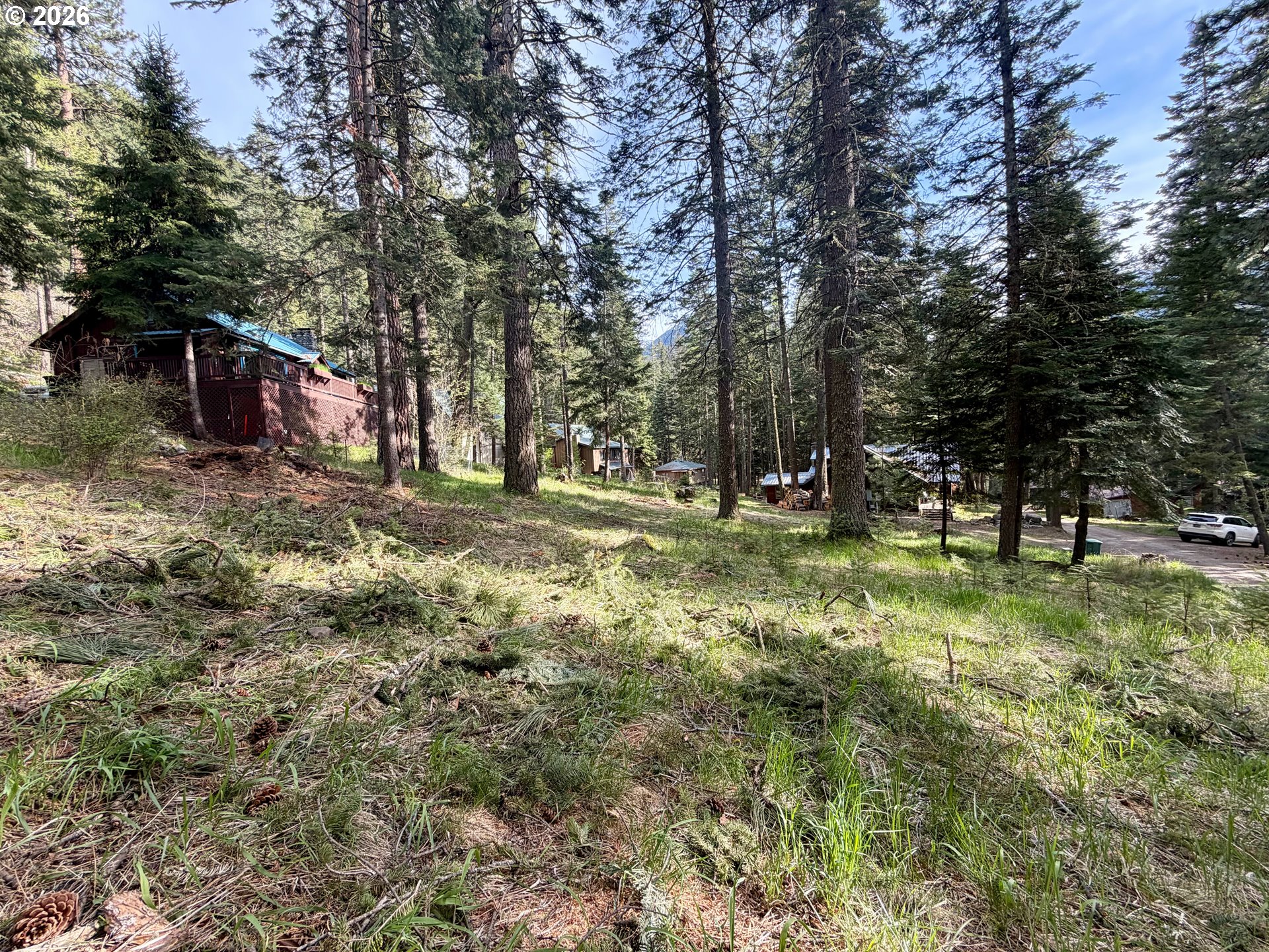 Forest Dell Ave Property Photo 5