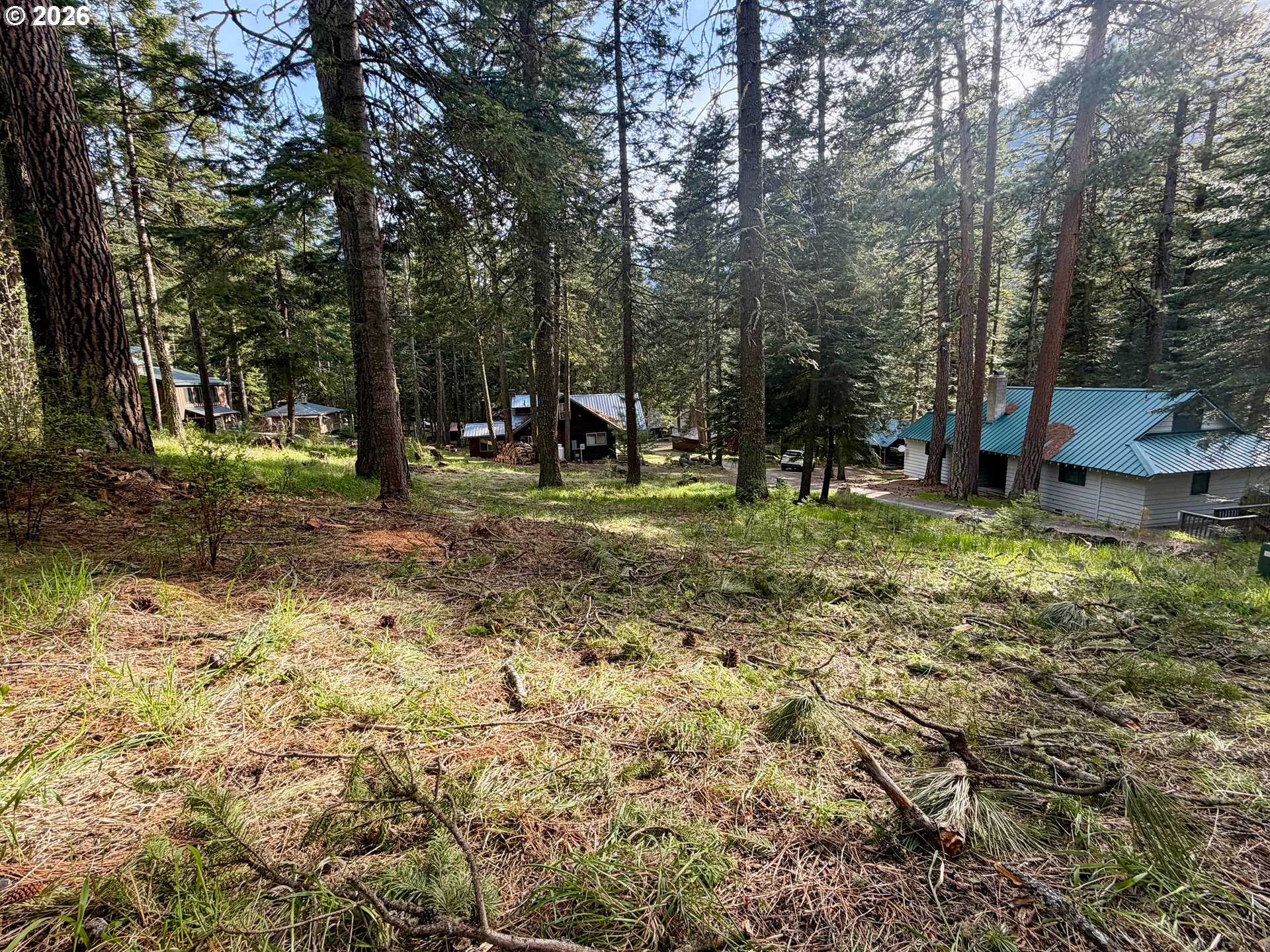 Forest Dell Ave Property Photo 6