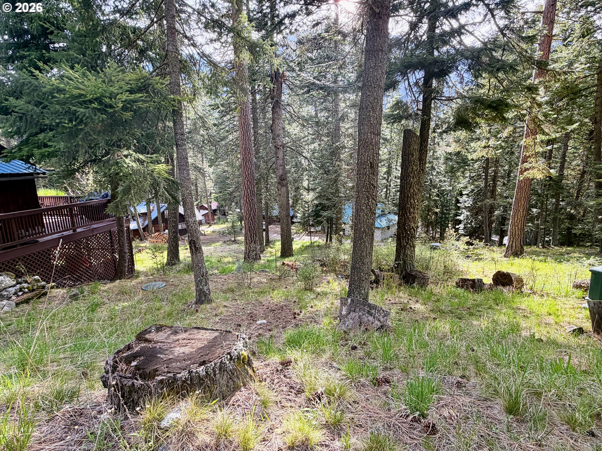 Forest Dell Ave Property Photo 9