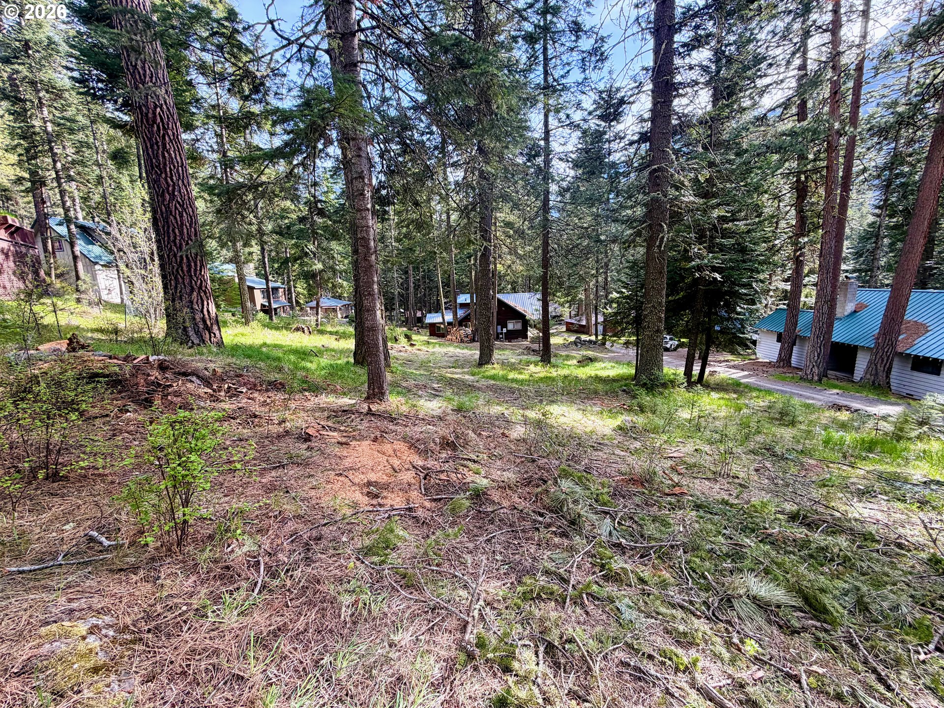 Forest Dell Ave Property Photo 11