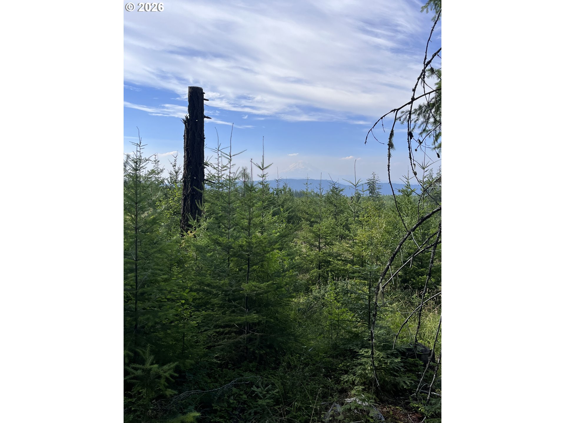 00 Winchester Property Photo 1