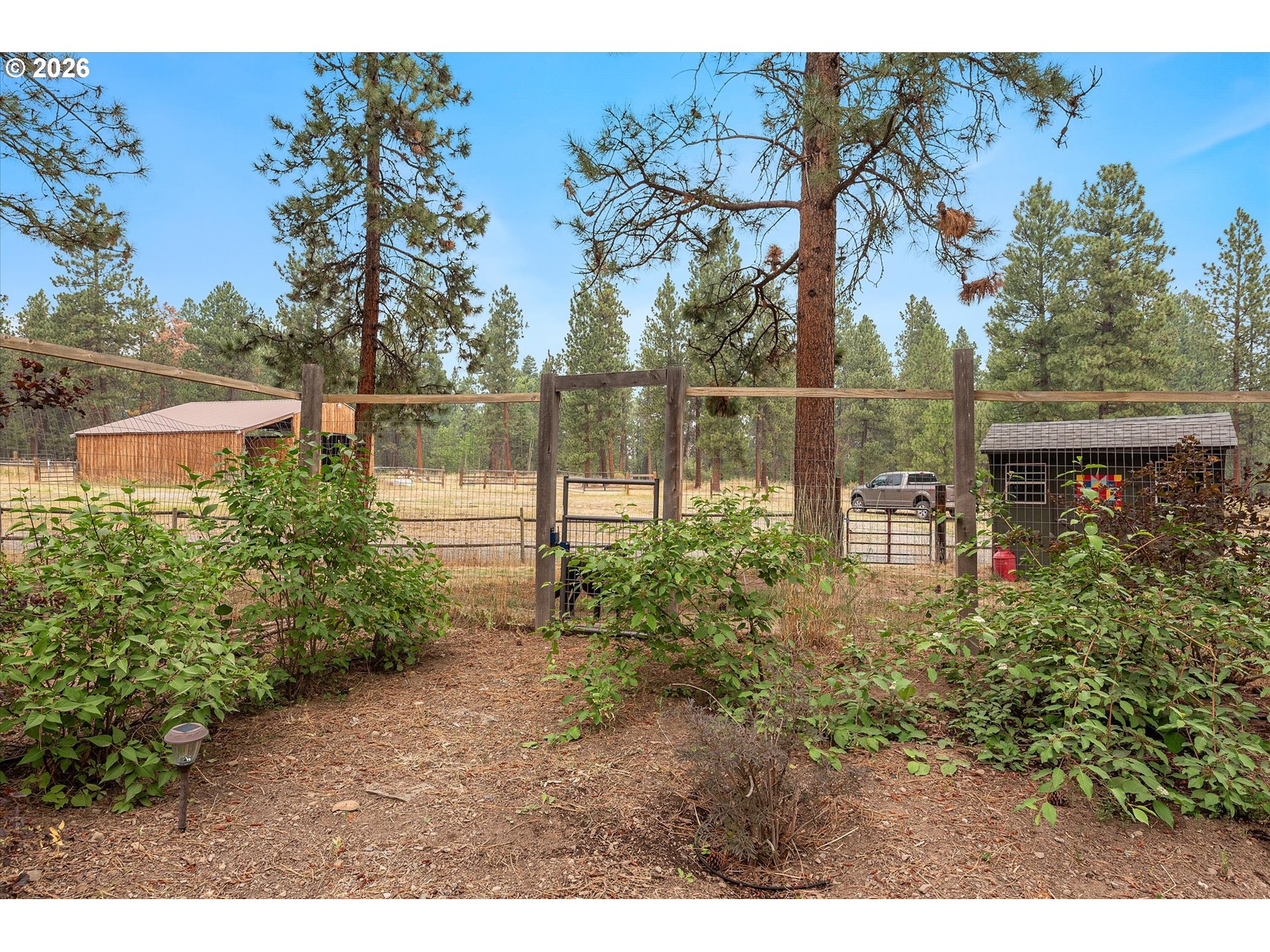 15365 Pine Creek Ln Property Photo 40