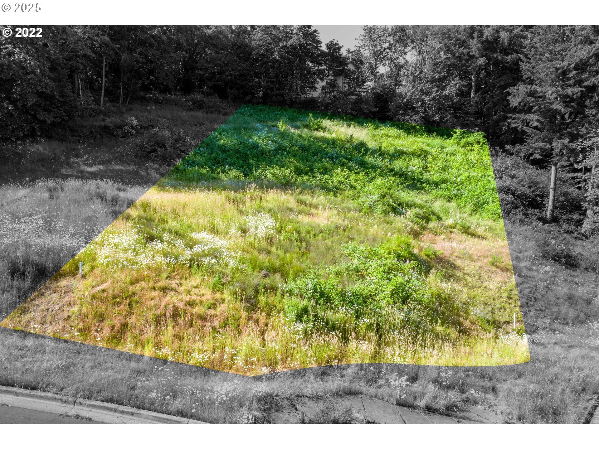 Aerie Park Property Photo 6