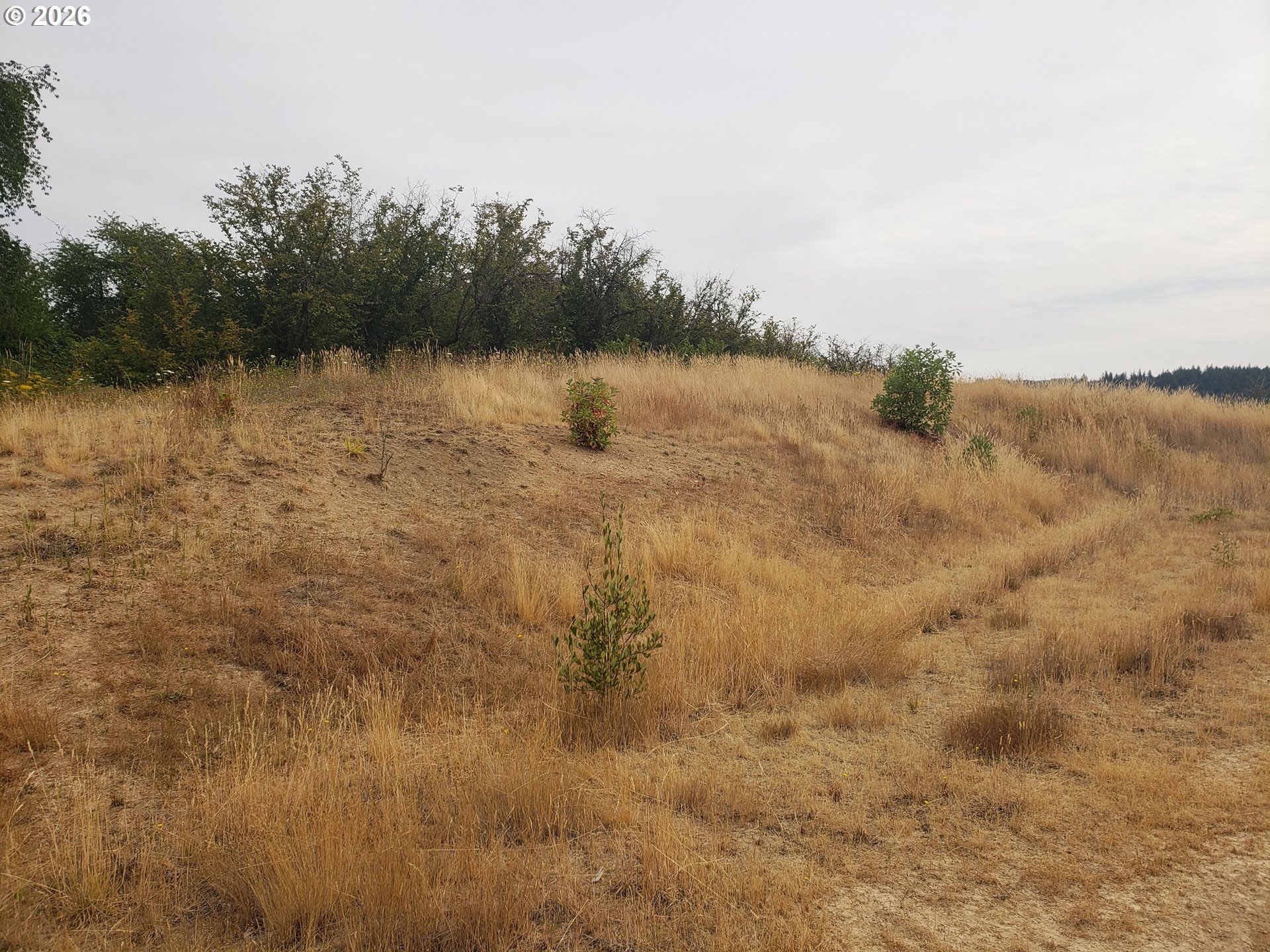 Sw Hardebeck Rd Property Photo 10
