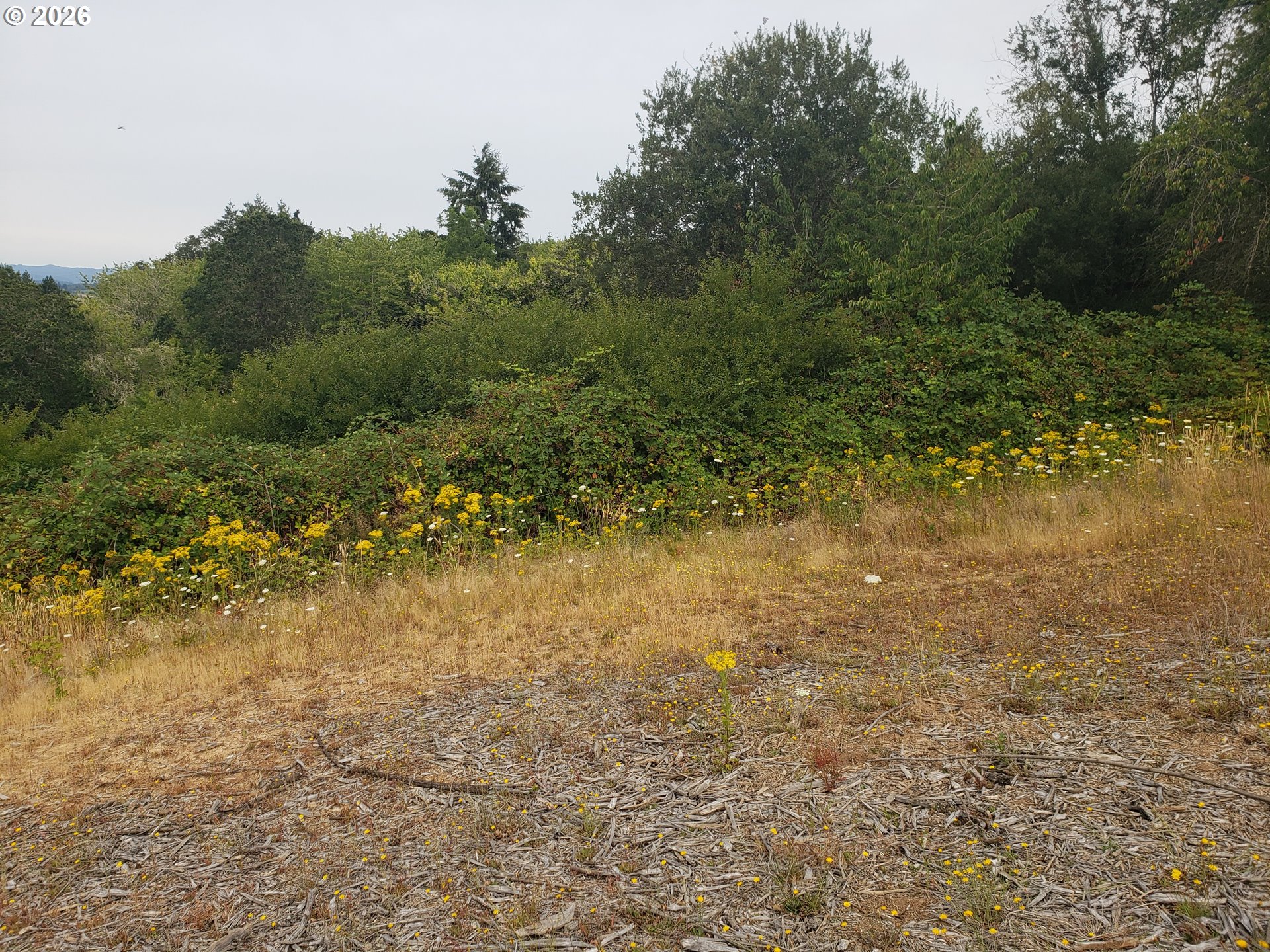 Sw Hardebeck Rd Property Photo 21