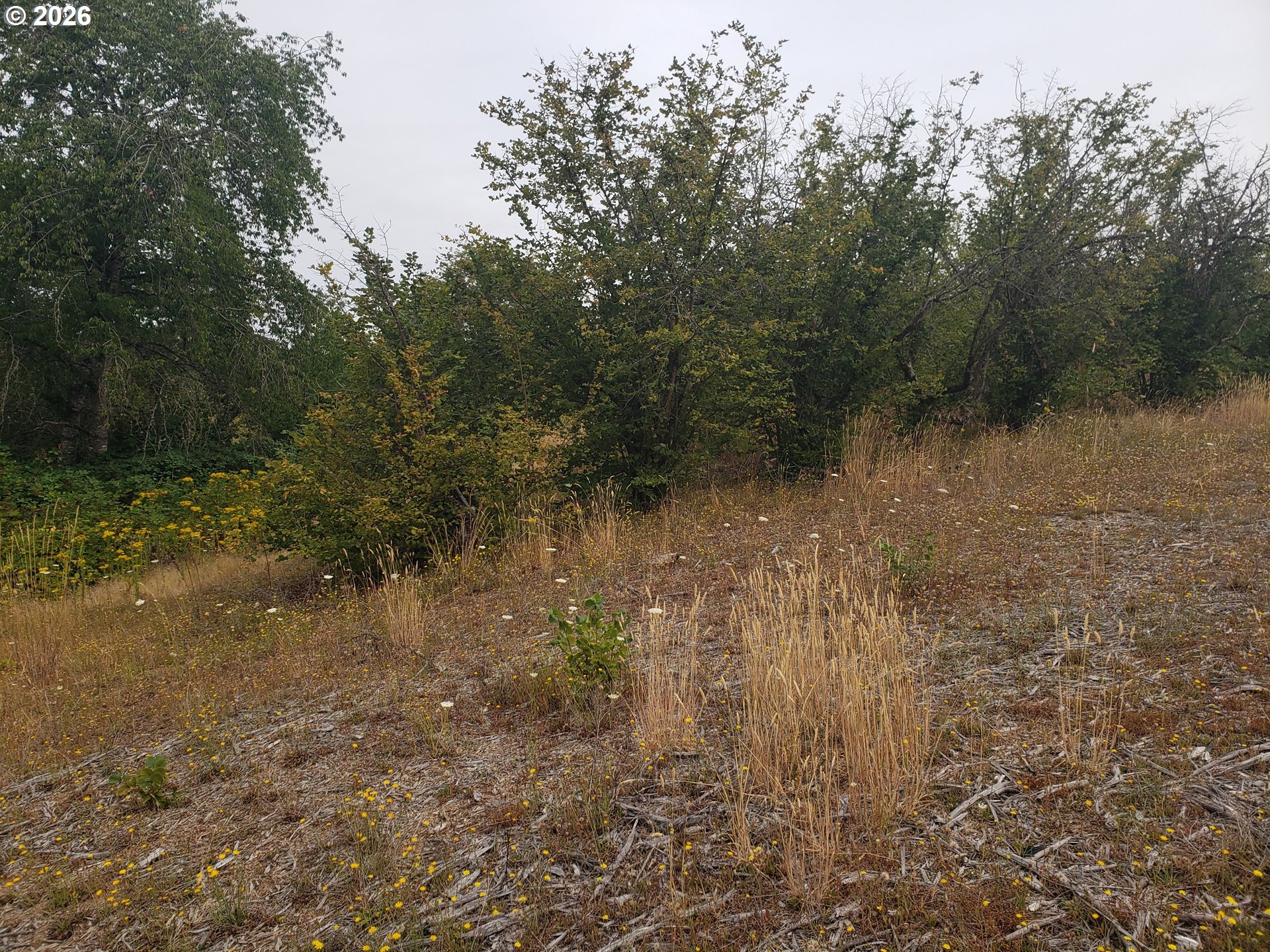 Sw Hardebeck Rd Property Photo 22