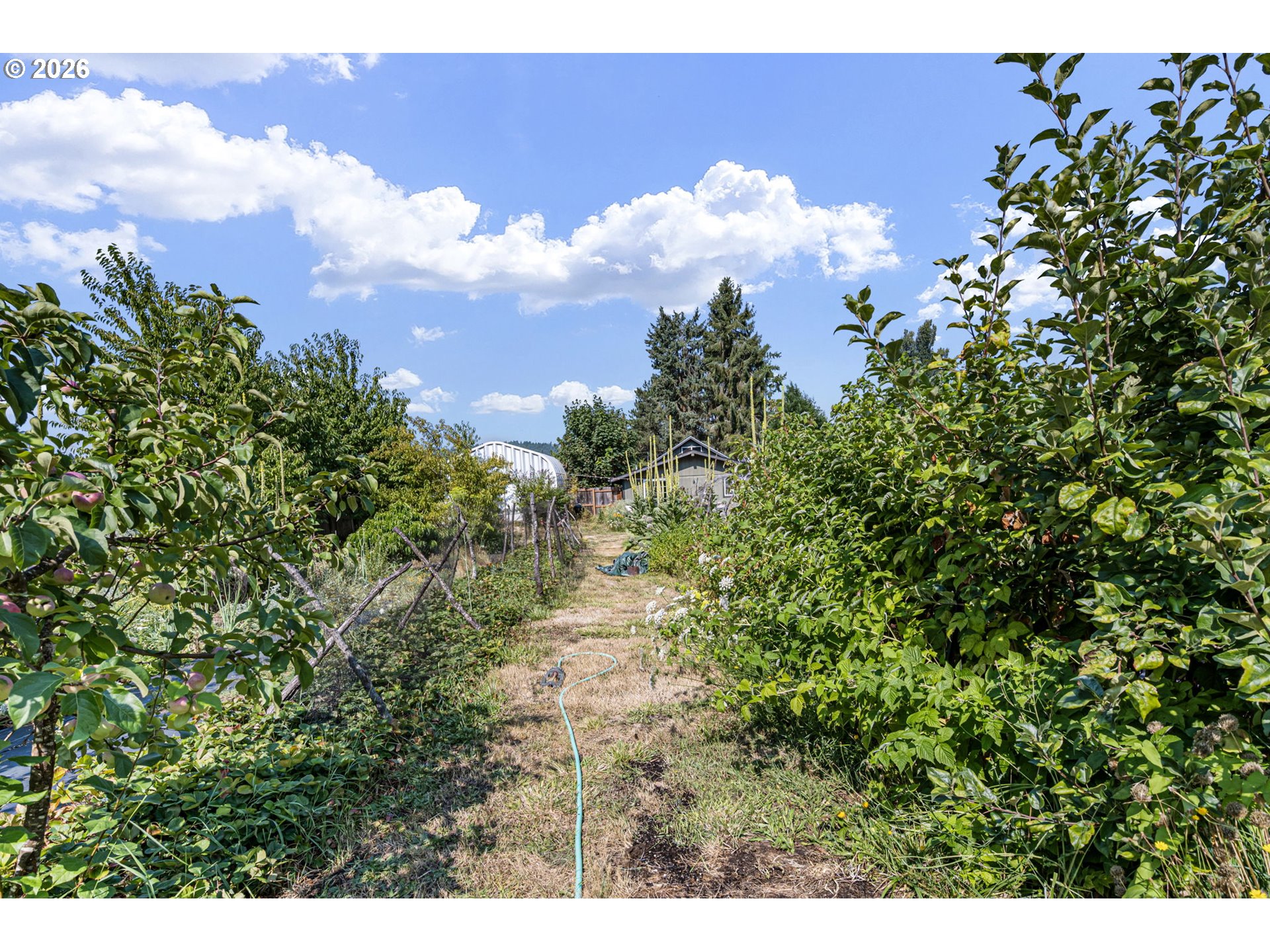 78807 Territorial Rd Property Photo 34