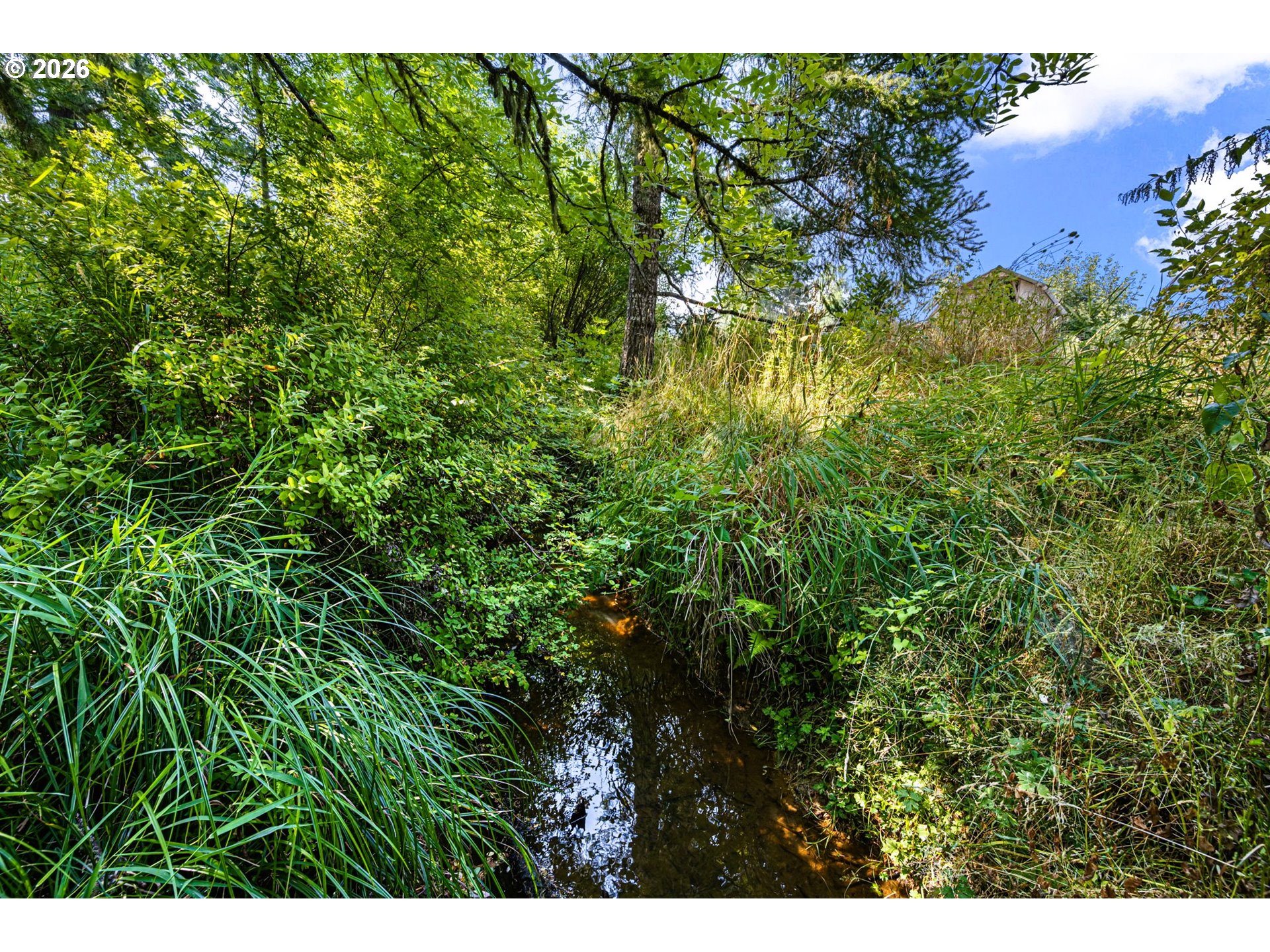 78807 Territorial Rd Property Photo 43