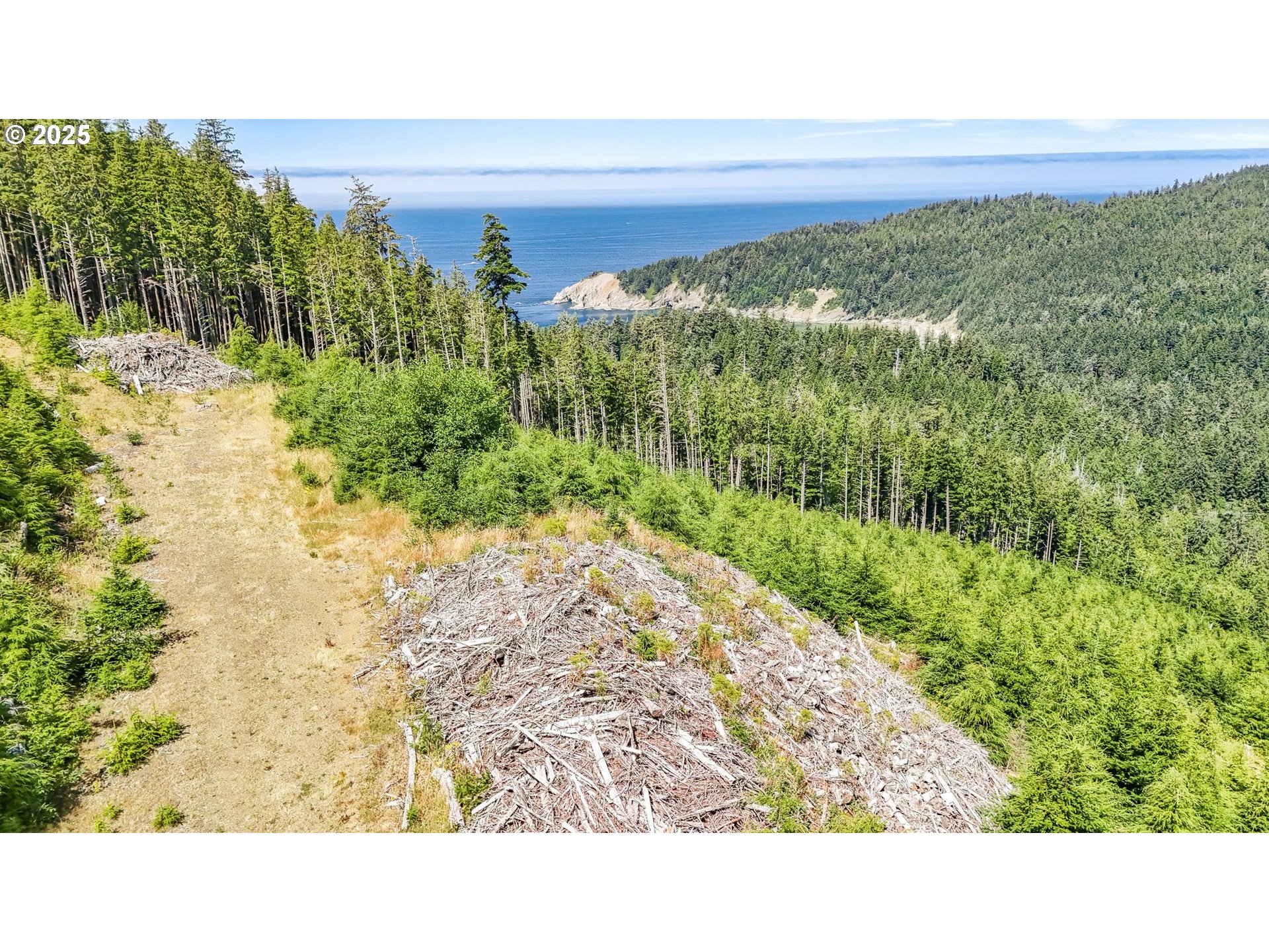 Hwy 101 Property Photo 4
