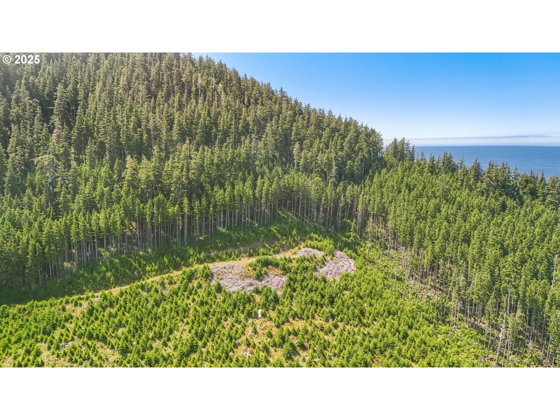 Hwy 101 Property Photo 5
