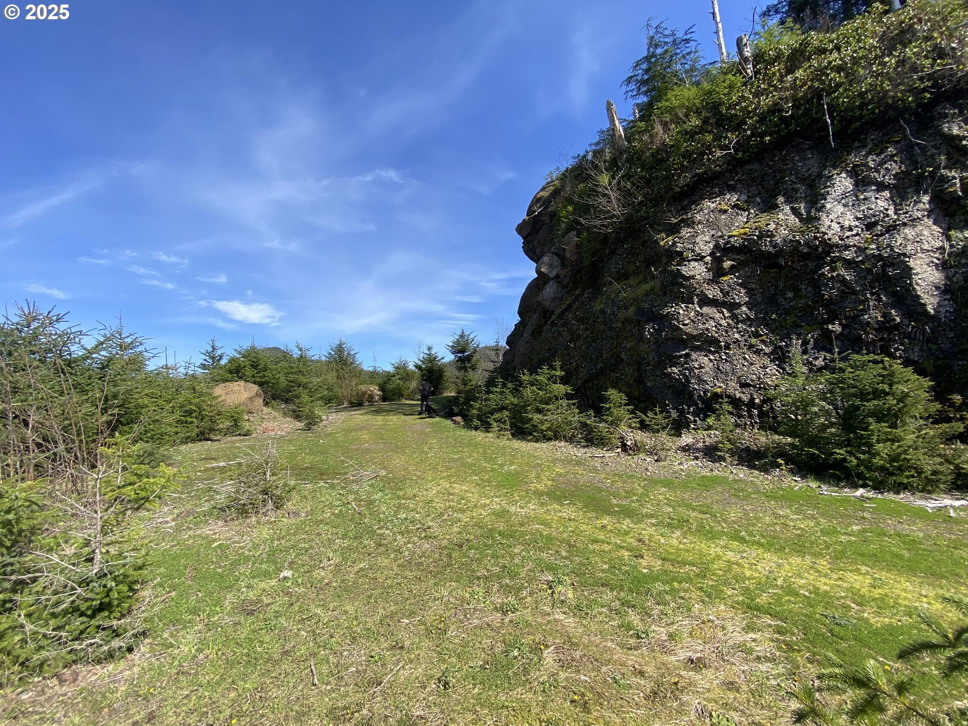 Hwy 101 Property Photo 13