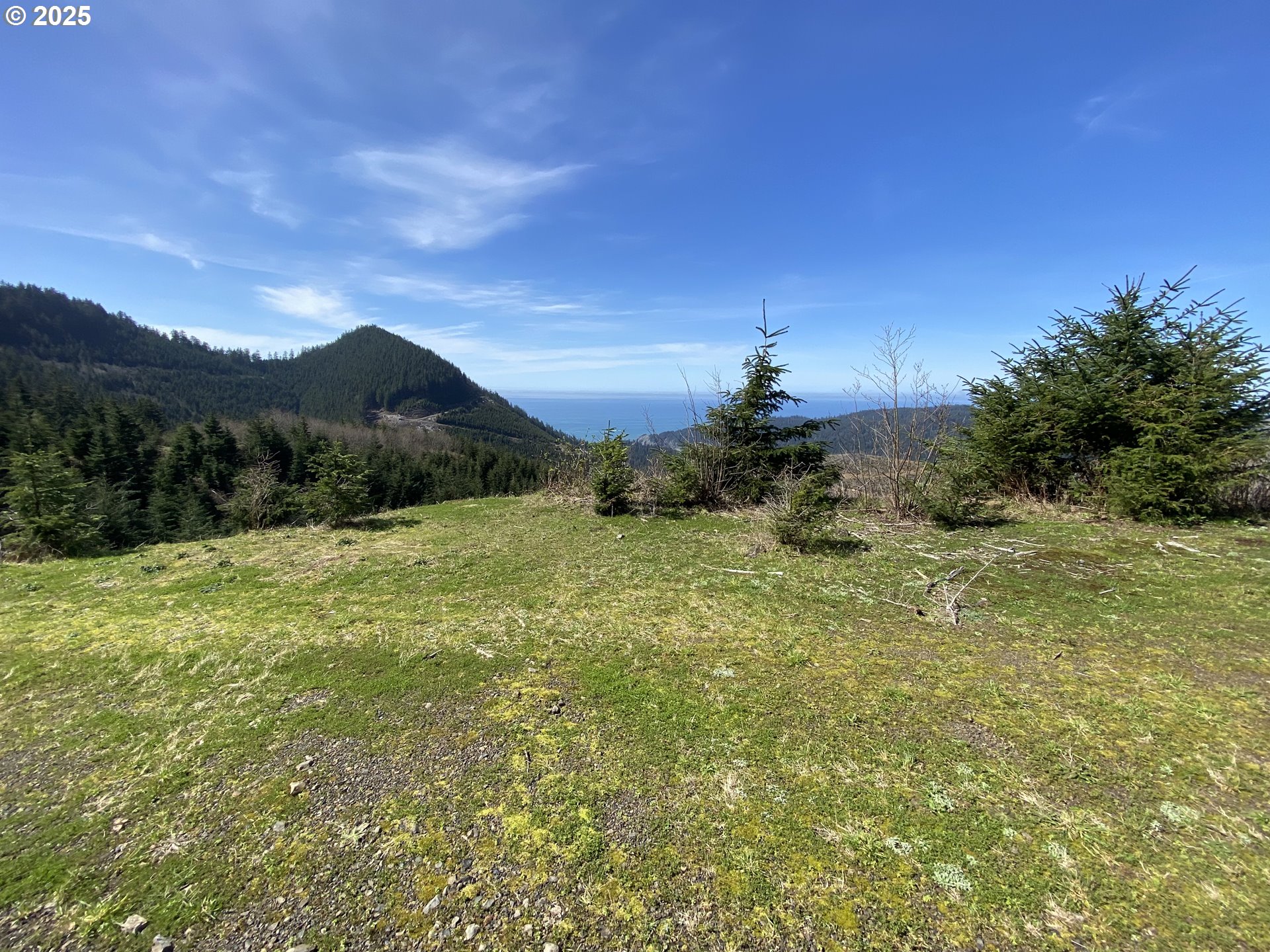 Hwy 101 Property Photo 14