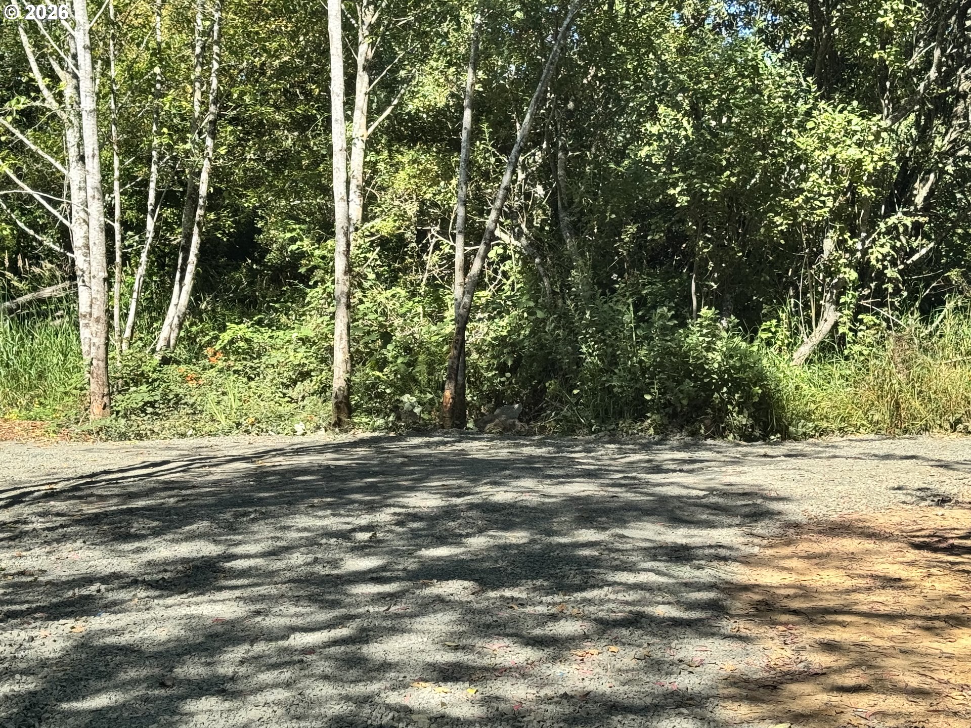 63579 S Olive Rd Property Photo 12