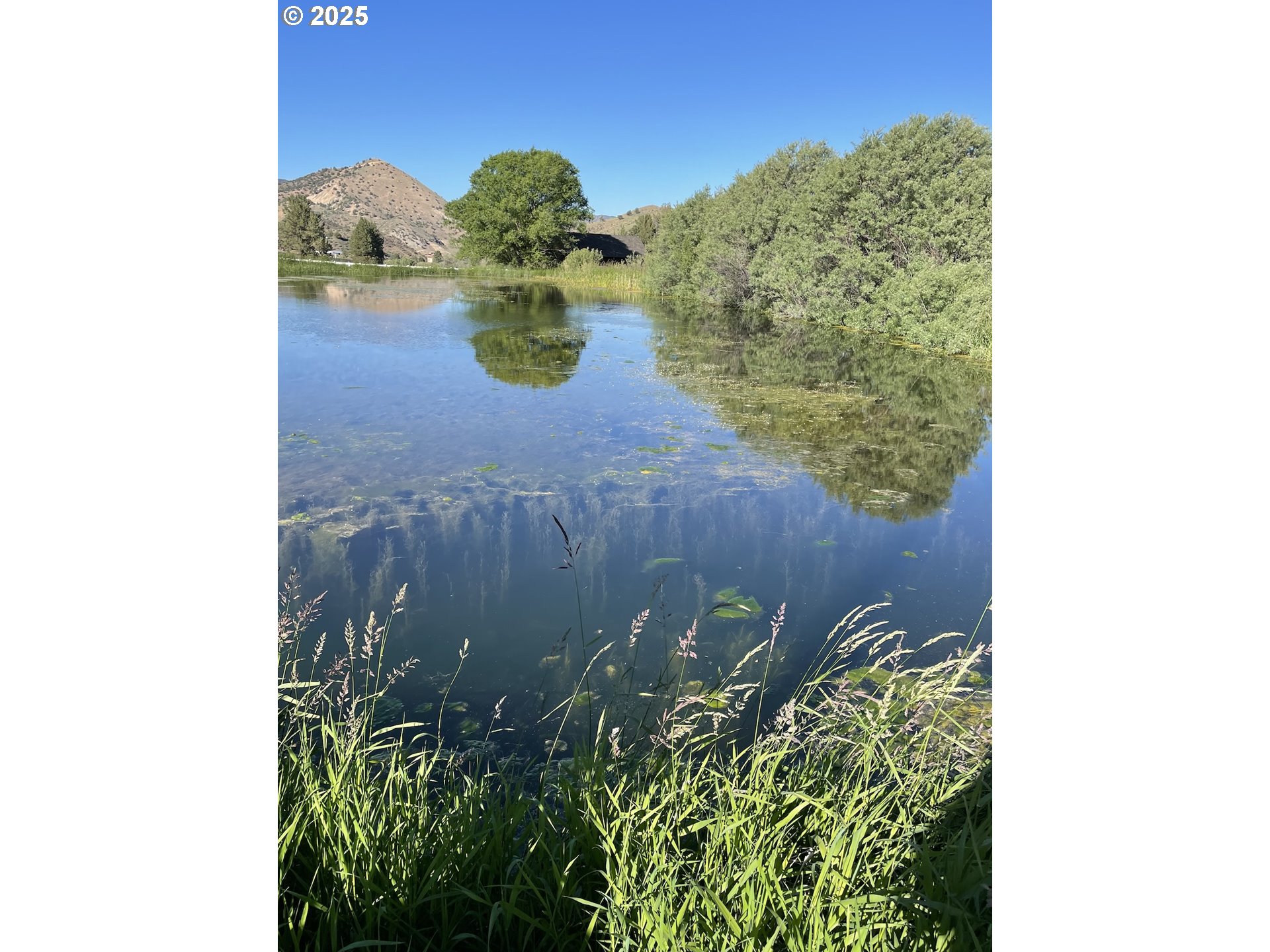 33817 Gage Rd Property Photo 40